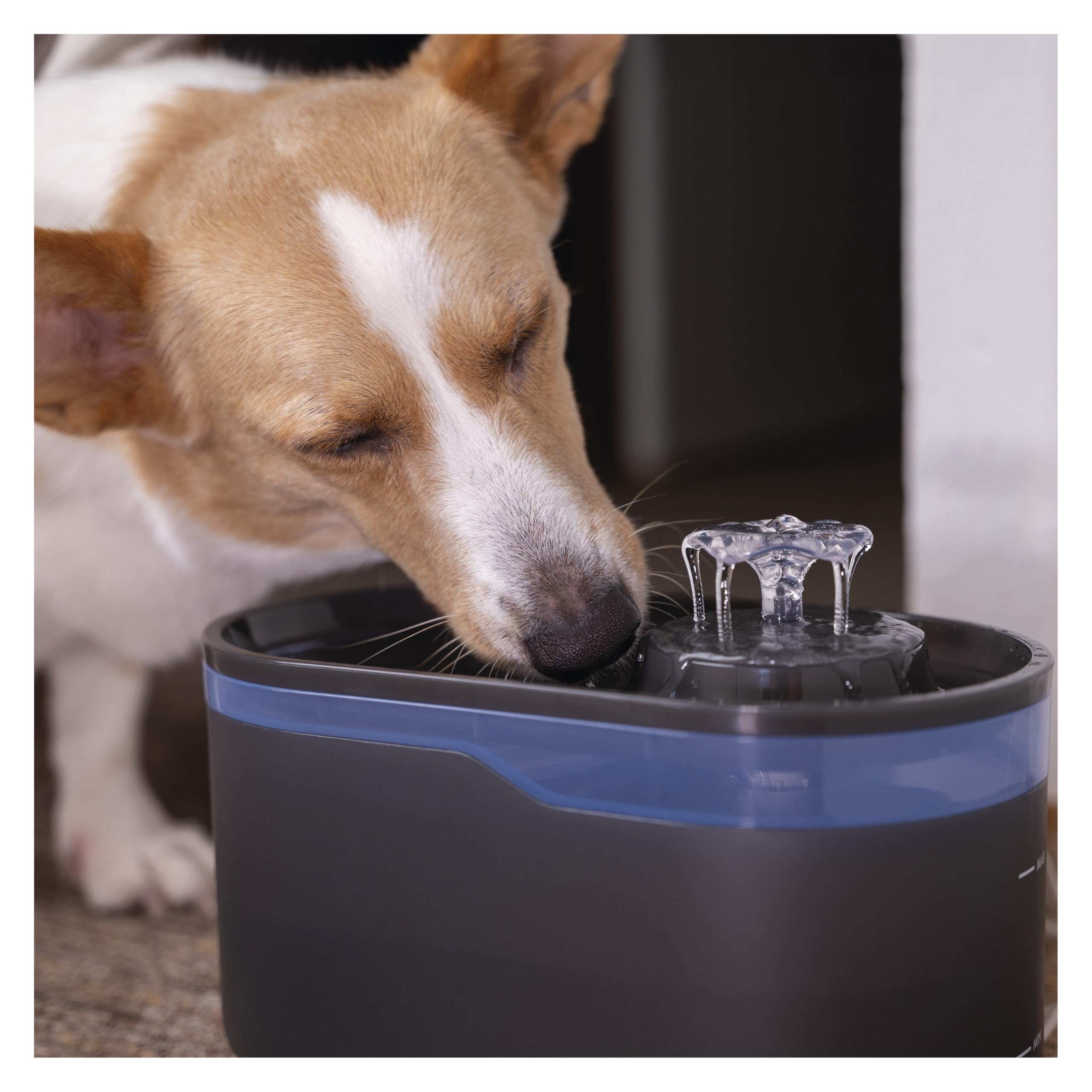 EMOS GoSmart Fuente para Gatos de 2,6 l con Sistema de filtración - Fuente de Agua Potable para Mascotas - Dispensador de Agua Dulce - Gris