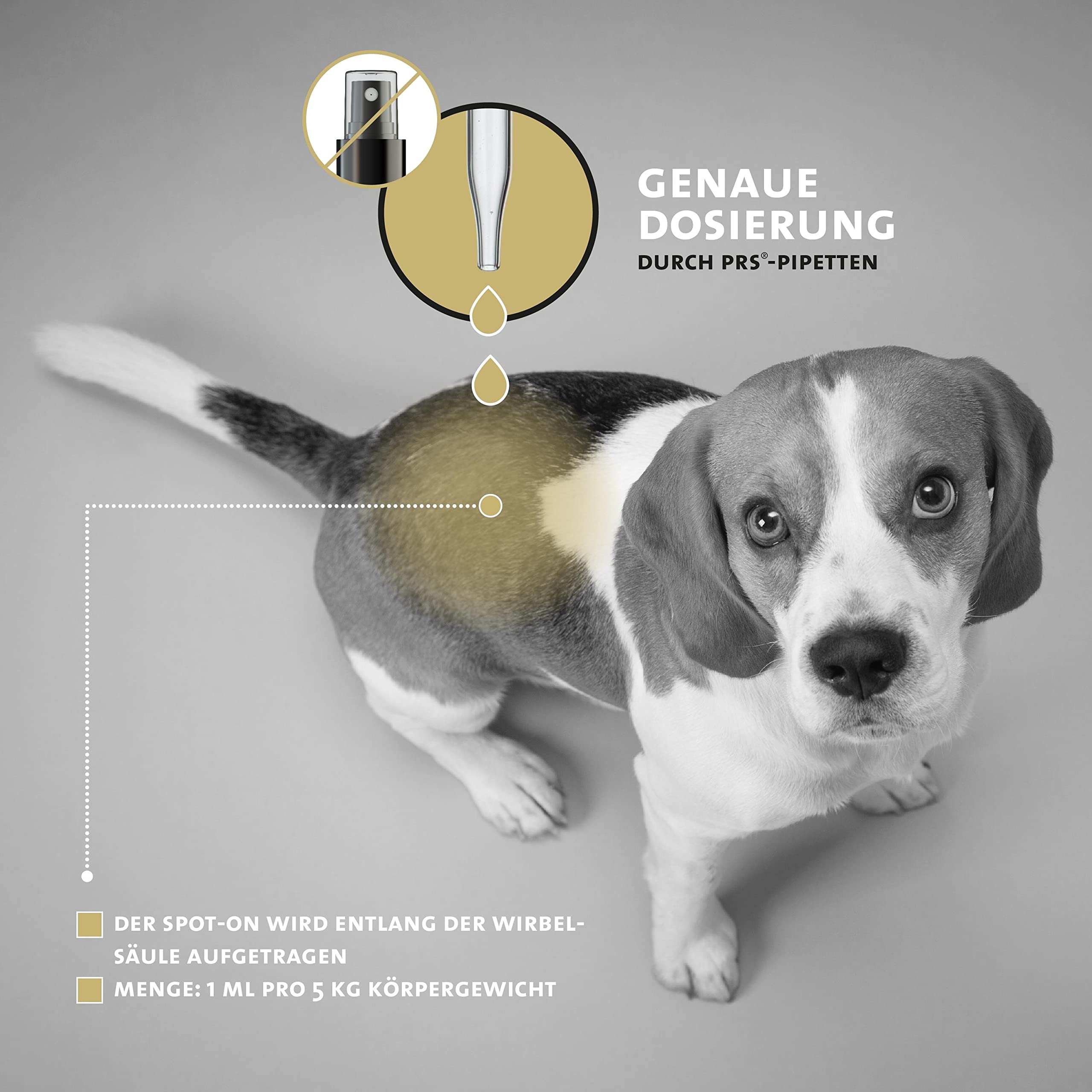 Peticare® Zeckenschutz für Hunde – Natürliches pflanzliches Spot-On gegen Zecken, Milben & Flöhe – ohne Chemie (Fipronil-frei) – Wasserfest & 24h Langzeitwirkung durch PRS® System, petDog Protect 2161