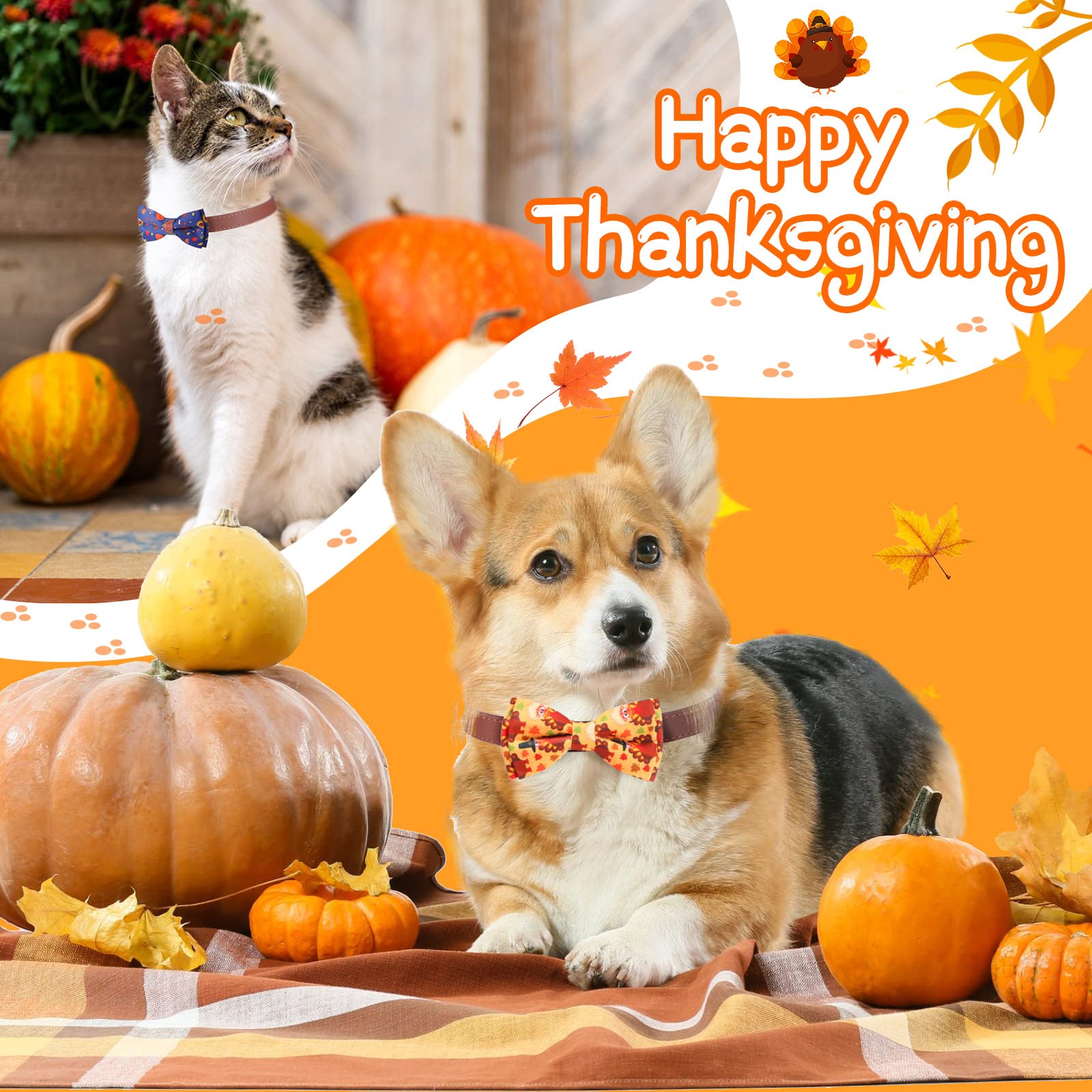 MR. CHUBBYFACE Thanksgiving Hundehalsband - Mit Ahorn & Truthahn Schleife - Verstellbar Für Alle Hundegrößen