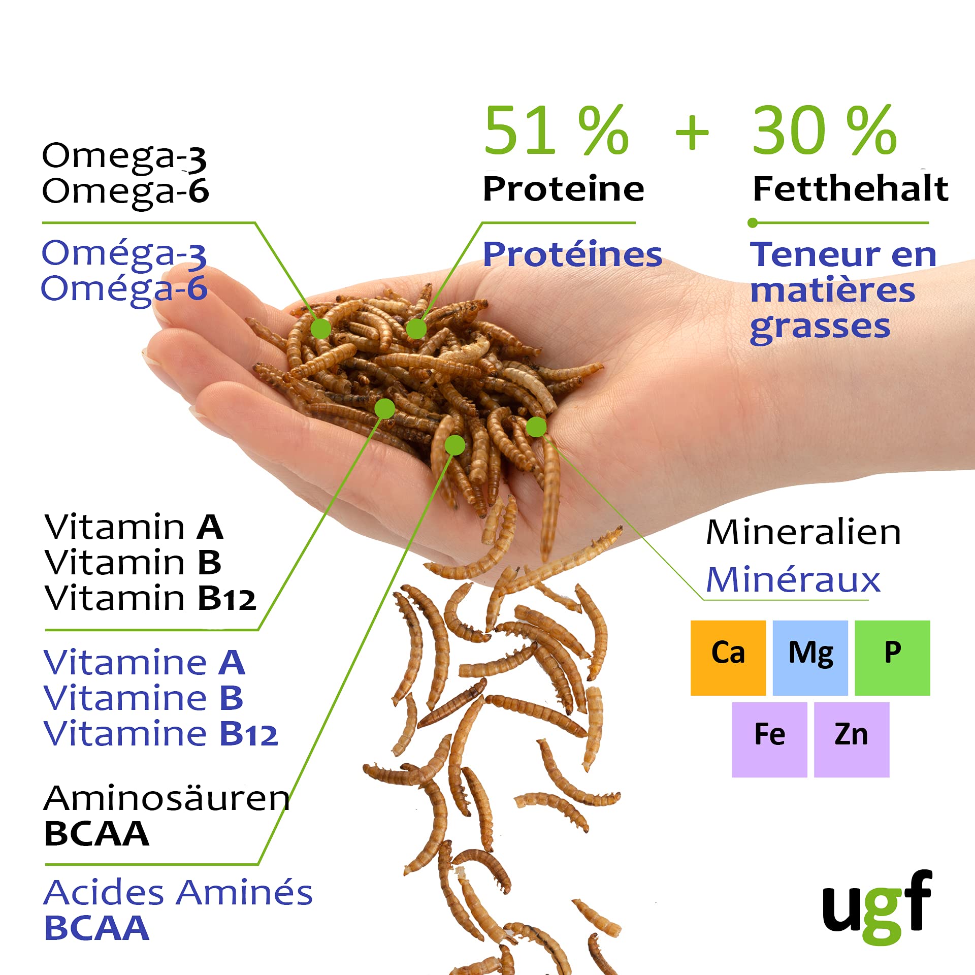 UGF - Premium Mączniki 3-Litrowe Wiadro - 460 g w wiaderku 3-litrowym, karma dla ptaków dzikich, całoroczna, karma dla jeży, karma dla wiewiórek, karma dla chomików