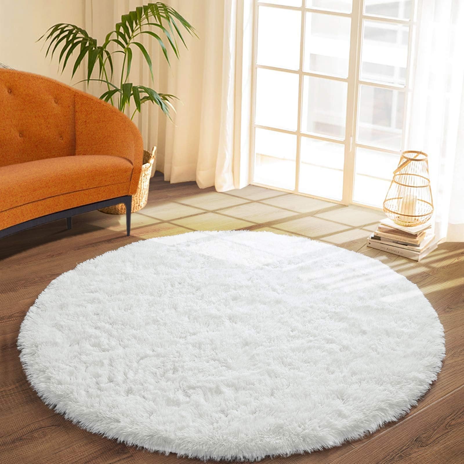 White circle rug