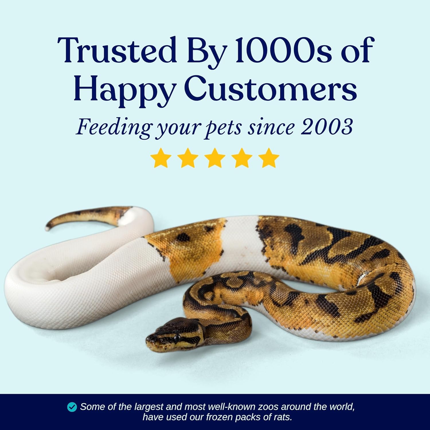 MiceDirect EST. 2003 40 Frozen Mice Pinkie Feeders Snake Food for Corn Ball Pythons Lizards (.5-1 in) (80 Grams Min)