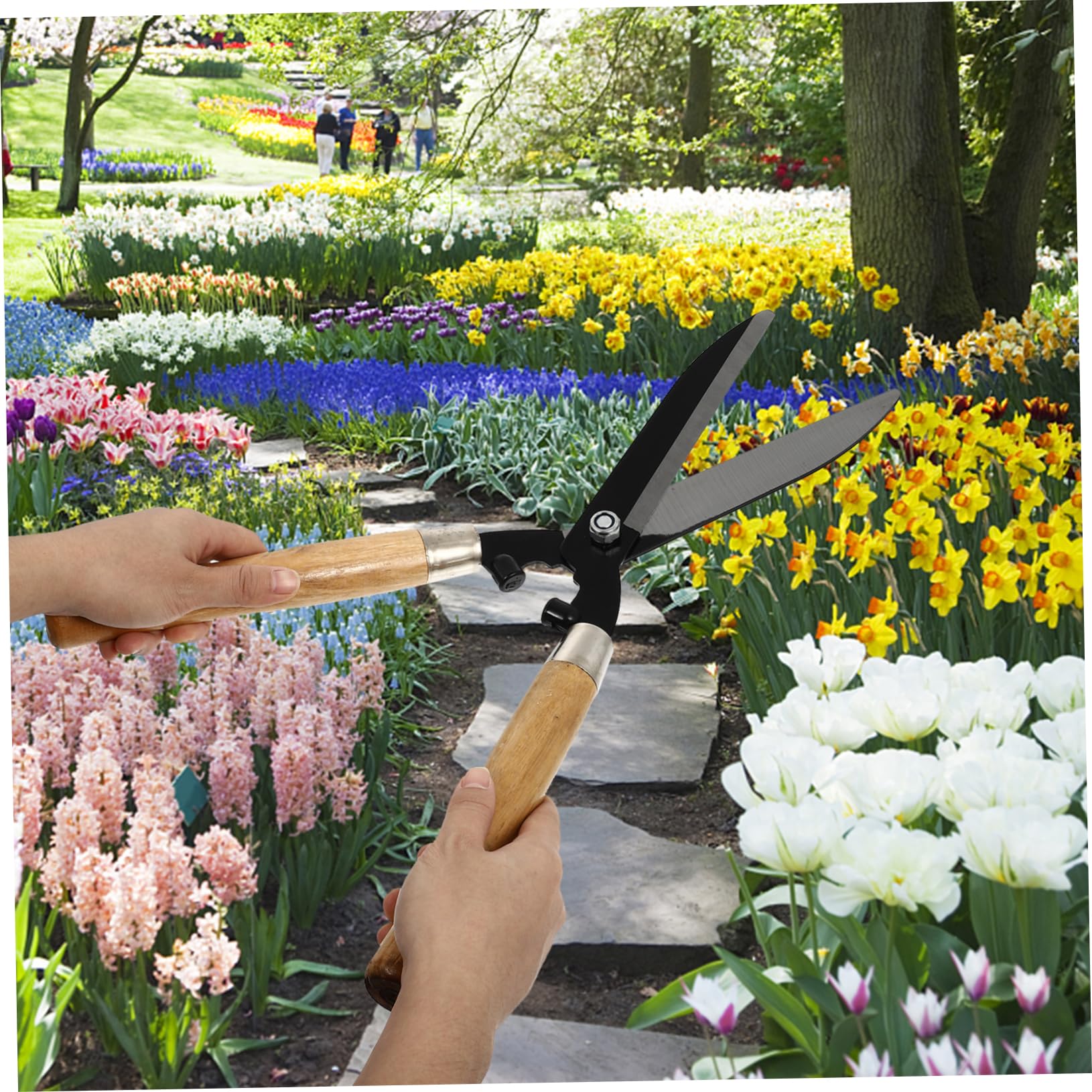 TOYANDONA 1pezzi Forbici Da Giardino Per Alberi Utensili Per Innesto Cesoie Per Prato Cesoie Da Potatura Per Giardinaggio Design Ergonomico Impugnatura in Legno Acciaio Temprato Lama Affilat