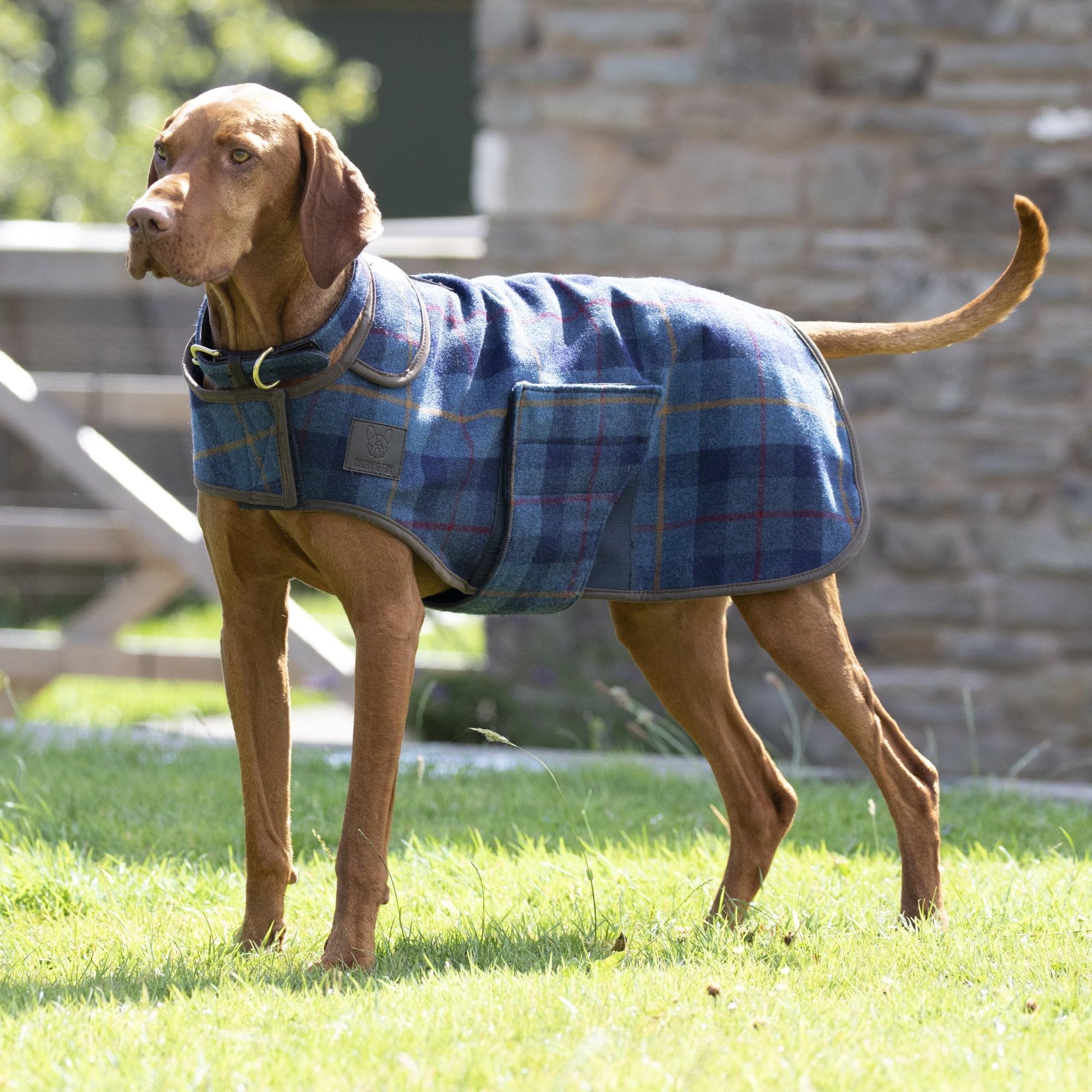 Shires Digby & Fox Tweed Dog Coat - Navy Blue Large