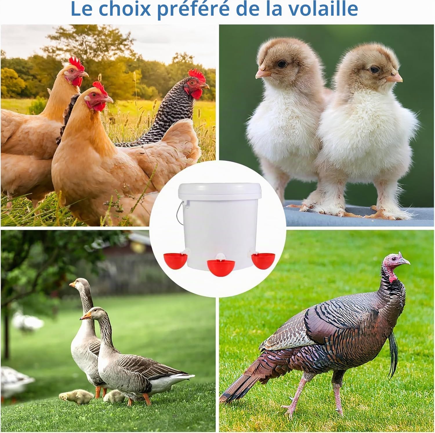 Lot de 10 Abreuvoirs Automatiques pour Poules,Distributeur d'eau Poule avec Foret,Abreuvoir Poule Automatique pour Poules,Canards,Oies,Dindes,Pigeons