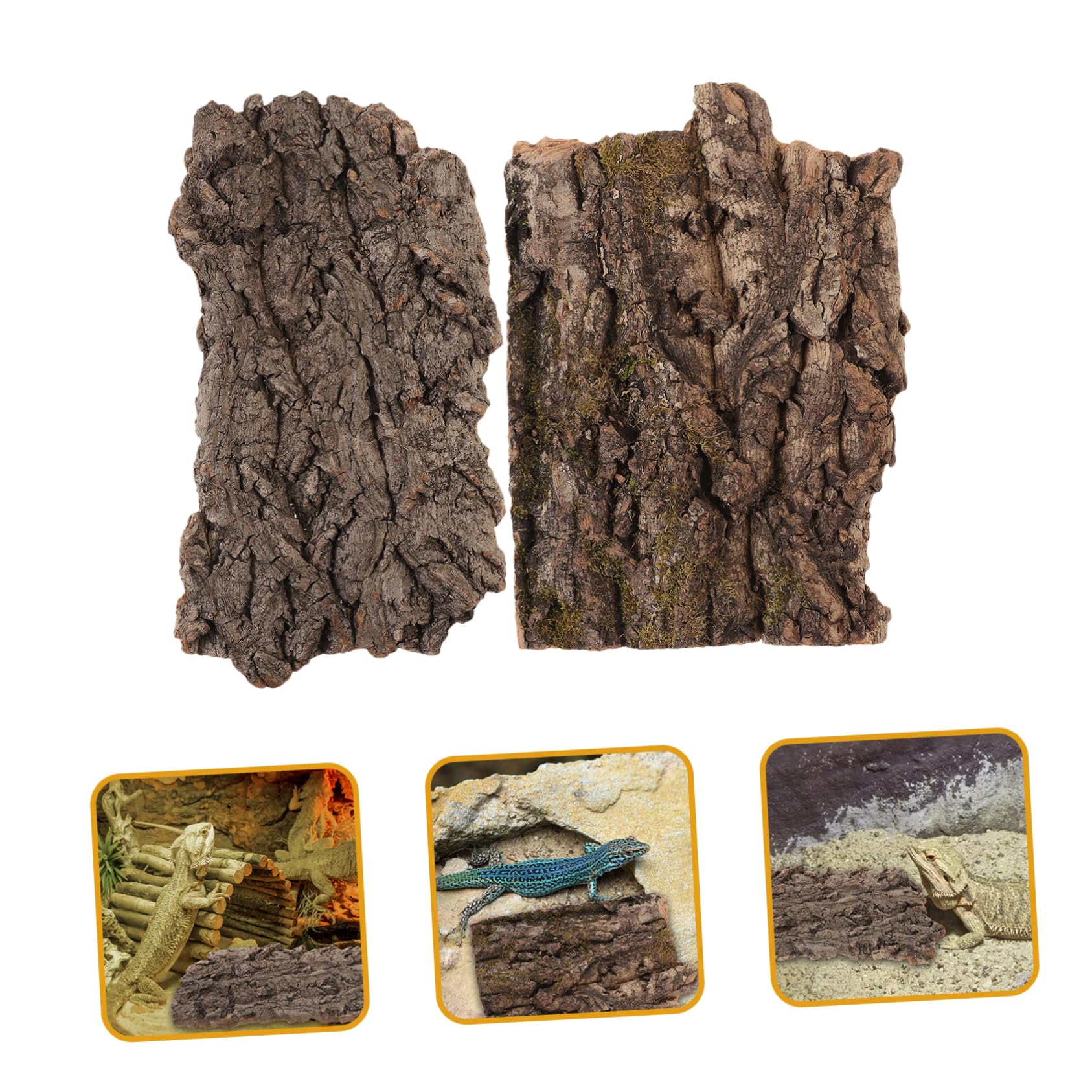 WOONEKY 4piezas De para Reptiles Refugio Natural De para Terrario Decoración De Hábitat De para y Arañas