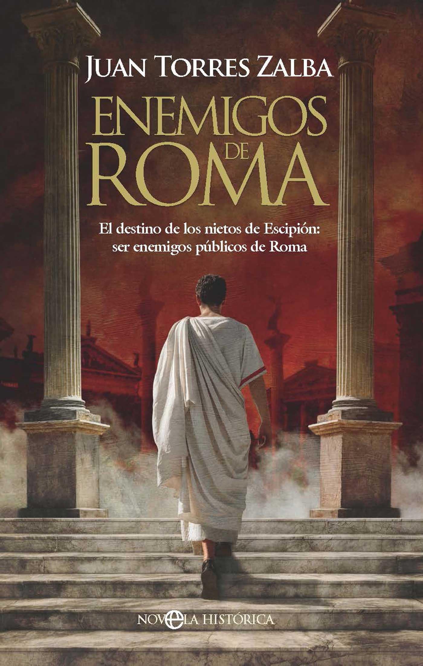 Enemigos de Roma: El destino de los nietos de Escipión: ser enemigos públicos de Roma (NOVELA HISTORICA)