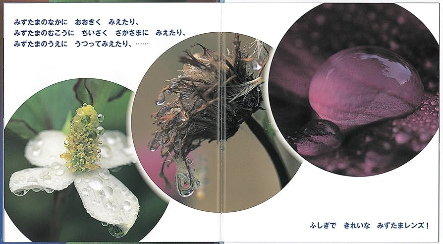 たくさんのふしぎ　 かがくのとも　水のかたち　みずたまレンズ　 福音館 たくさんのふしぎ かがくのとも 水のかたち みずたまレンズ 福音