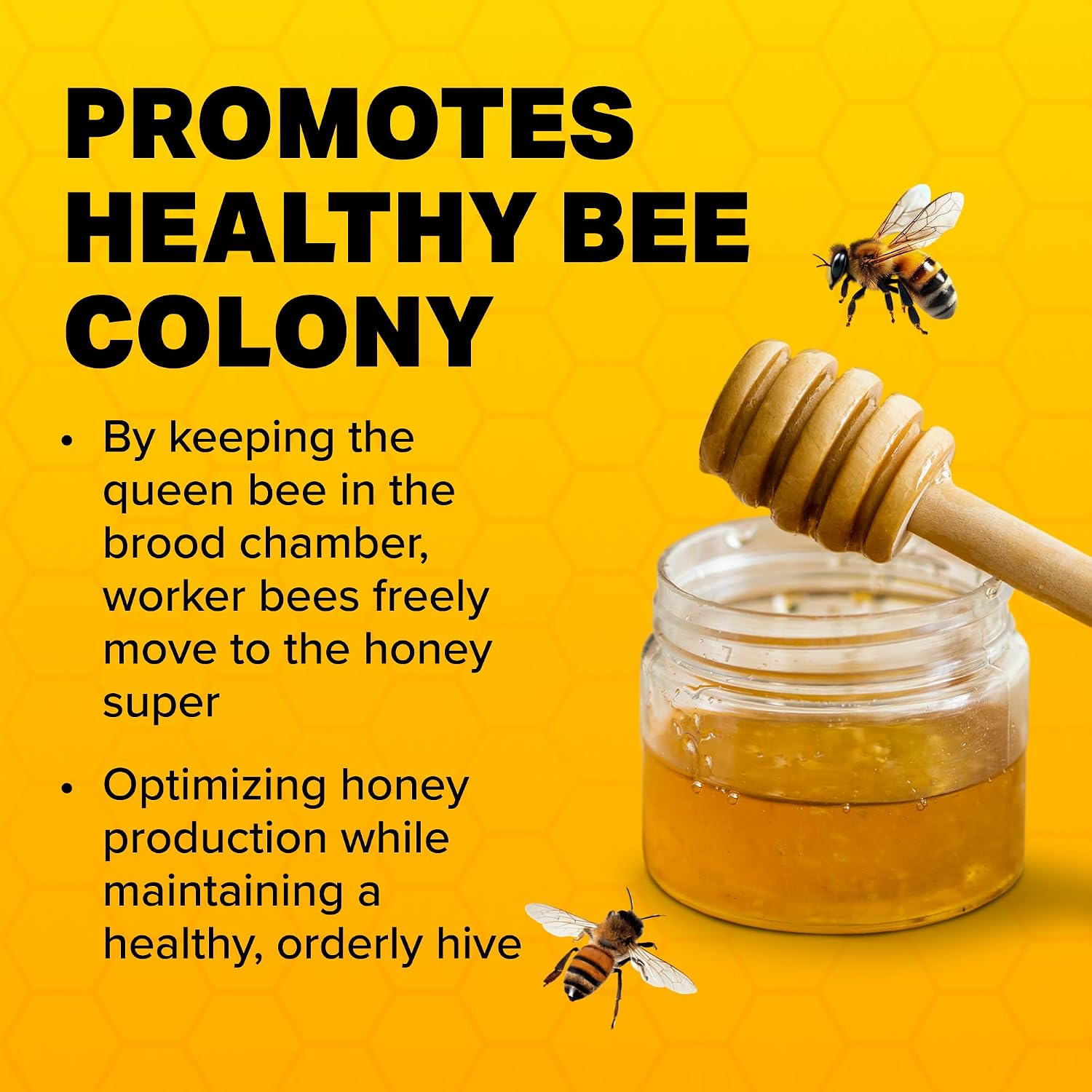 Mann Lake, Queen Excluder for Beekeeping, Precision Welded Low Carbon Steel, Perfect for 10-Frame Hives, Durable and Long-Lasting, Keeps Honey Clean by Preventing Queen Access