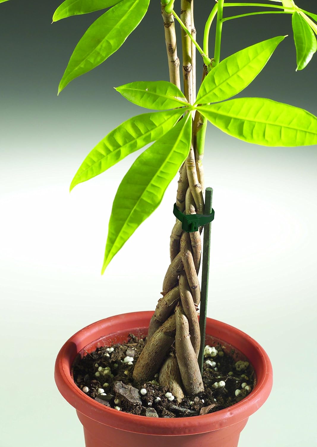 Get Popular Offer Gardner Bender 41-308R 100% Recycled Cable Tie, 8 Inch., 50 lbs. Tensile Strength, Wire / Cord Management Industrial and Household Use, Nylon Zip Tie, 15 Pk., Dark Green