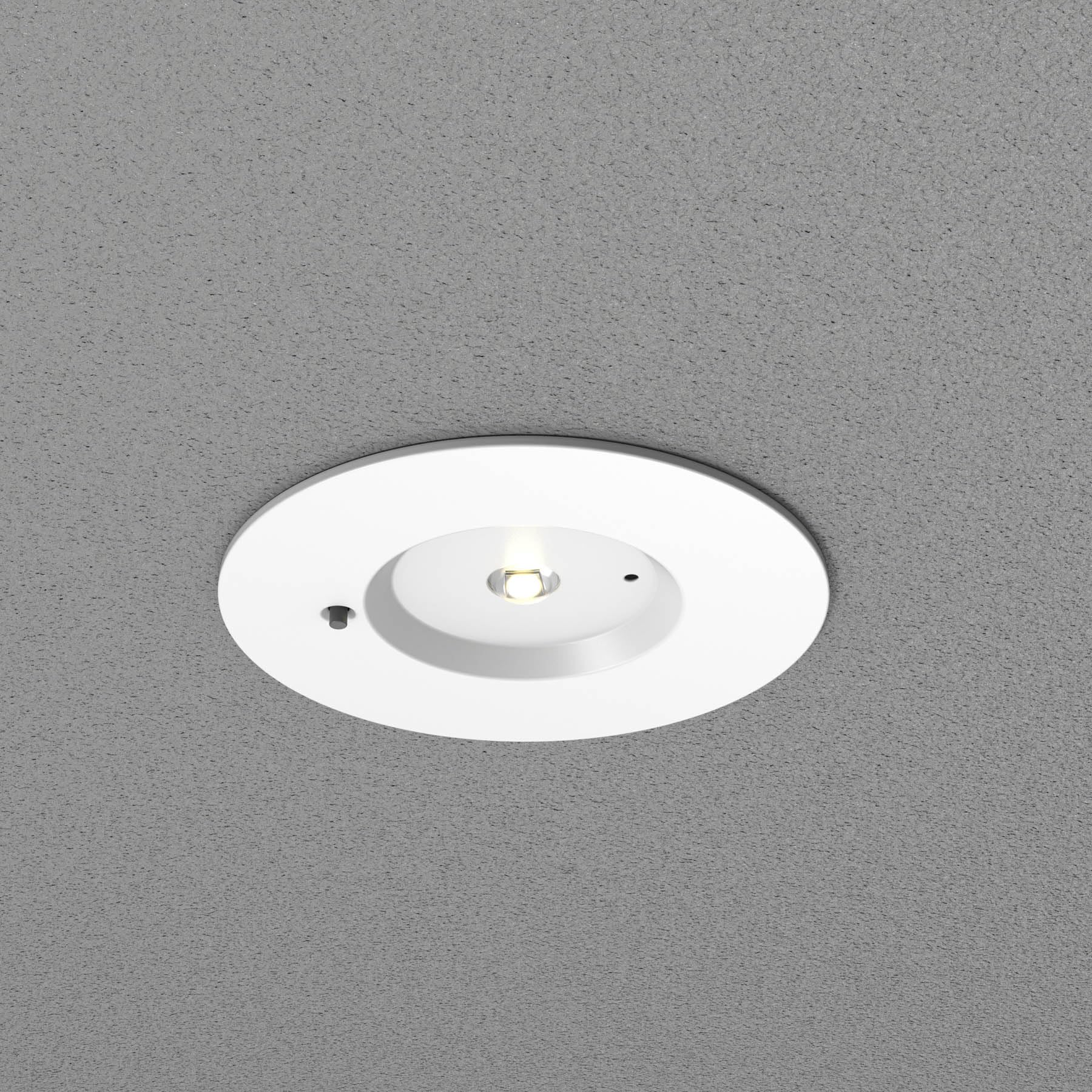 TRAXON LUXPOINT® Downlight LED - Werner emergencia 1,3W 300Lm con AUTOTEST circular empotrable Simétrico Corte Techo Ø84mm Luz Fría 6500K IP20 Autonomía 1hora (300Lm | Simétrico, Autonomía: 1 hora)