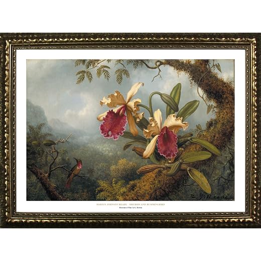 Framed Orchids and Hummingbirds by Martin Johnson Heade 24x36 Art Print Poster Famous Painting from Museum of Fine Arts Boston Collection