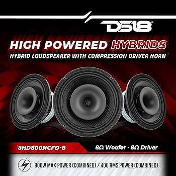 Amazon.com: DS18 8HD800NCFD-8 8