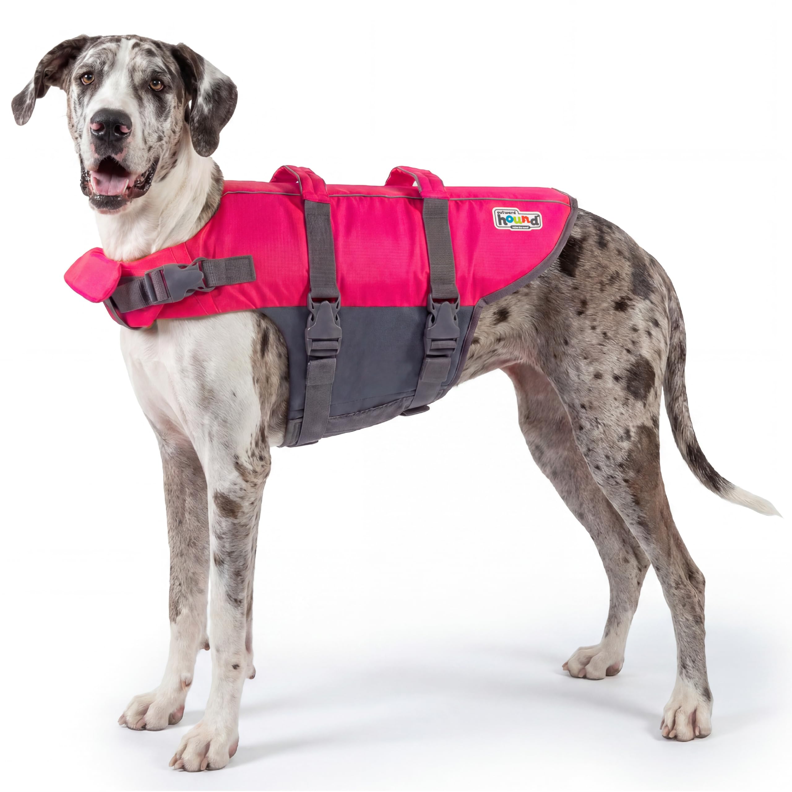 Amazon.com : Outward Hound Granby Splash Dog Life Jacket, Life