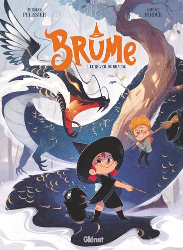 Couverture de Brume, tome 1 : Le Réveil du dragon