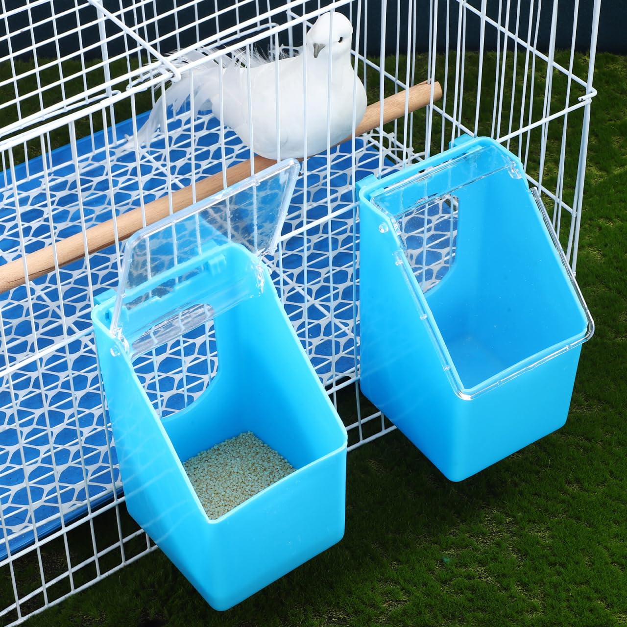 POPETPOP Lot de 4 mangeoires en plastique pour pigeons, cailles, oiseaux, volailles, pigeons, perroquets, perruches, perruches