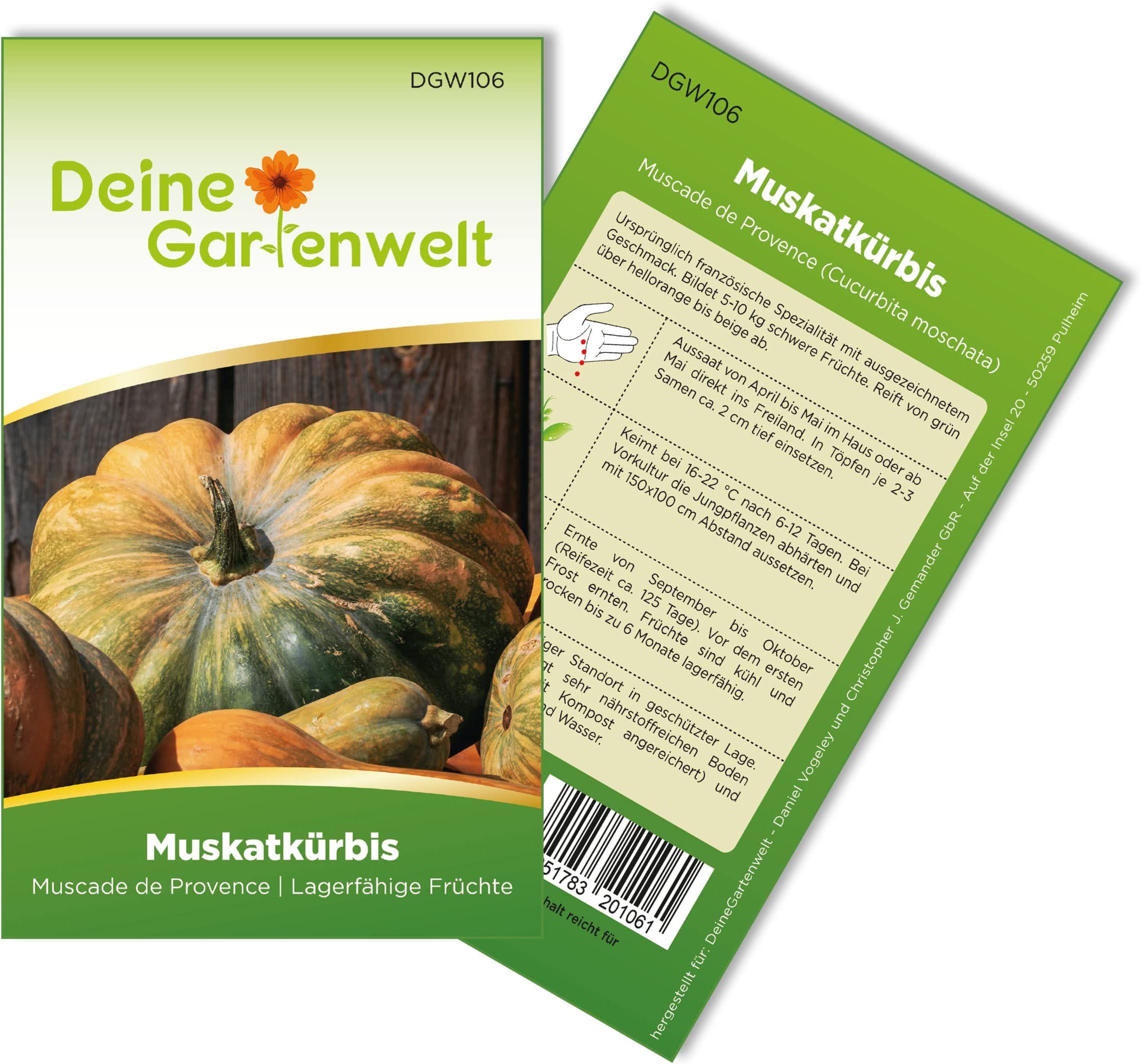 Samenliebe BIO Kürbis Samen Glatter Butternut 10 Samen samenfestes