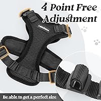 Vista 29 de rabbitgoo Arnés y correa para caminar, a prueba de escapes, chaleco suave y ajustable para gatos, fácil de controlar, transpirable, tiras