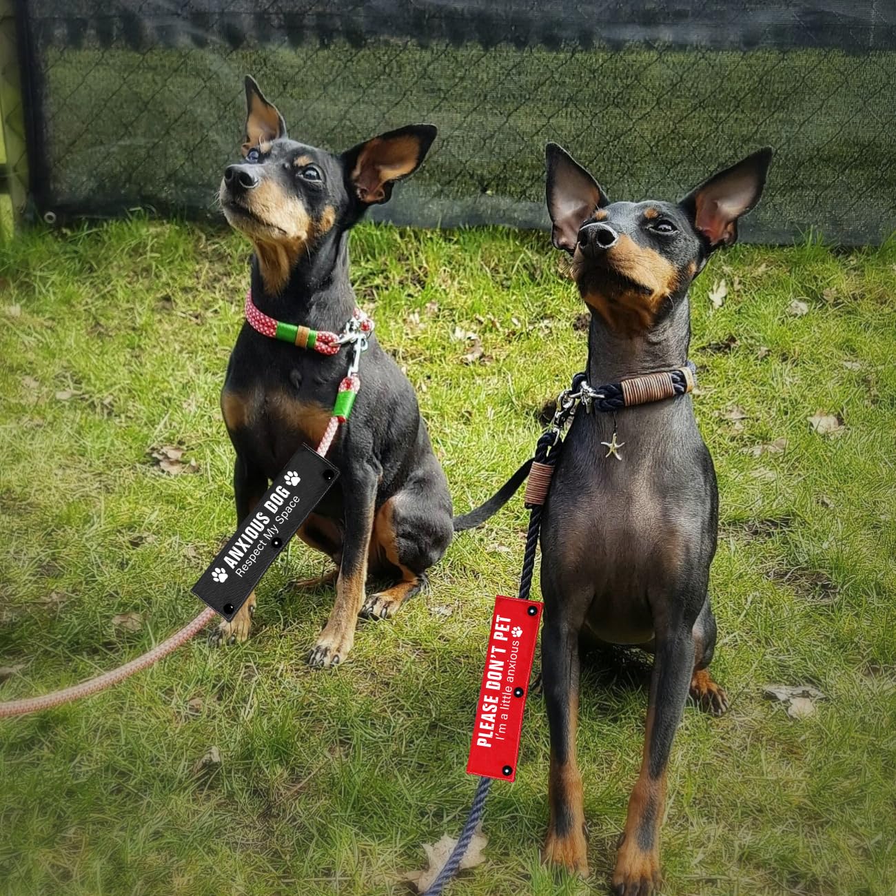 Please Don't Pet / Anxious Dog Friendly - Juego de 2 fundas para correa para perros de rescate y perros ansiosos, incluye 2 fundas rojas y negras para regalo de cumpleaños de mascotas