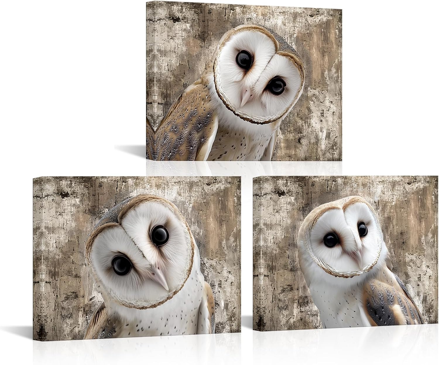 VANSEEING Owl‌ Canvas Wall Art Cute Barn Owl‌ Head Close Up Pictures Rustic Vintage Birds Modern Artwork Wall Decor for Men's Boys Room Bedroom Living Room 12x16inchx3 Pieces