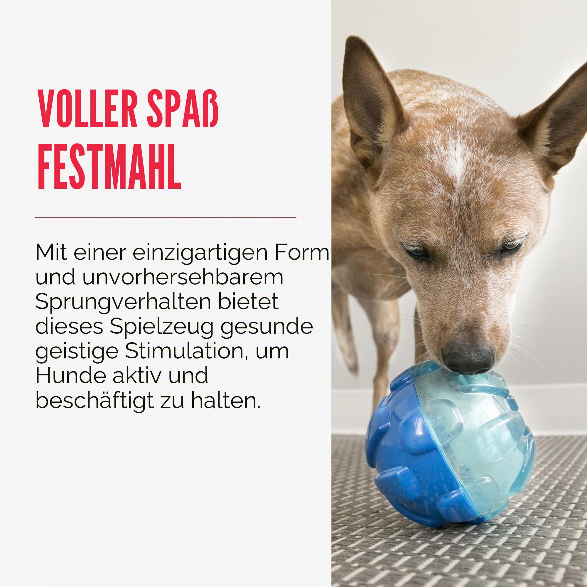 KONG – Rewards Ball – Besonders Robuster Interaktiver Leckerlispender – Für Große Hunde