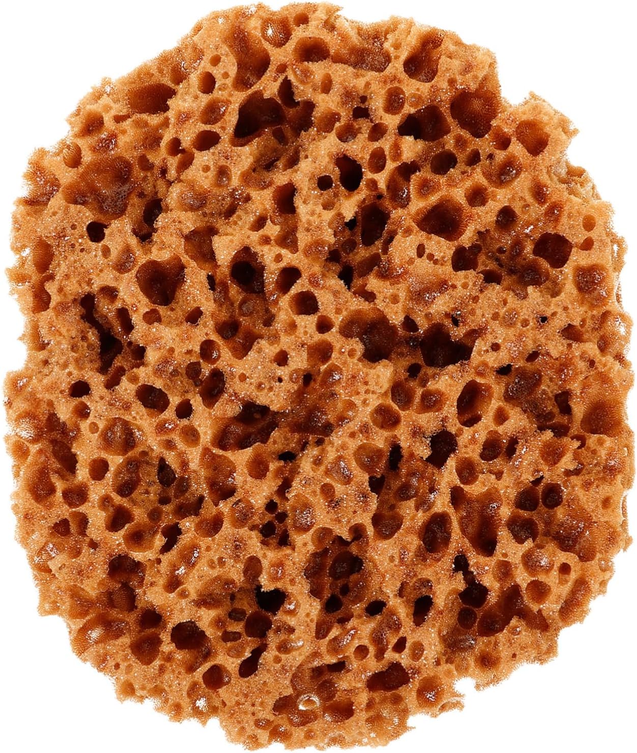 ORFOFE Artistic Sea Sponge Tool for Acrylics Natural Craft Applicator for Textured Painting Blending and Unique Designs for DIY Projects and Decorative Art