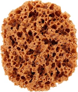 Artistic Sea Sponge Tool for Acrylics Natural Craft Applicator for Textured Painting Blending and Unique Designs for DIY Projects and Decorative Art