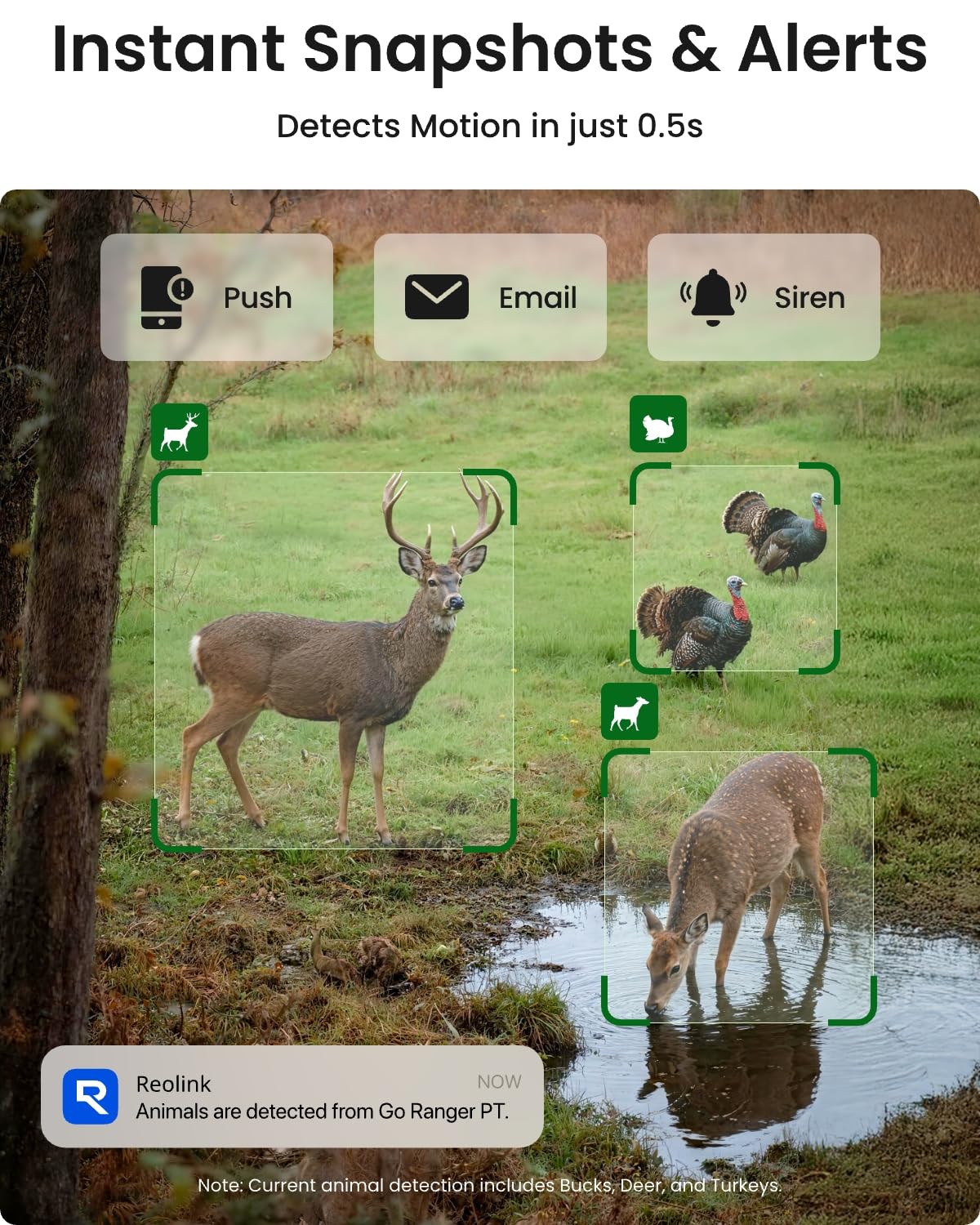 Reolink 4K Kamera Solar 4G LTE do Monitoringu na Zewnątrz z Nożycowym Mechanizmem, Widzeniem Nocnym i Detekcją Ruchu PIR, Rozpoznawaniem Zwierząt, Akumulatorem i Panelem Słonecznym + Karta microSD 32G