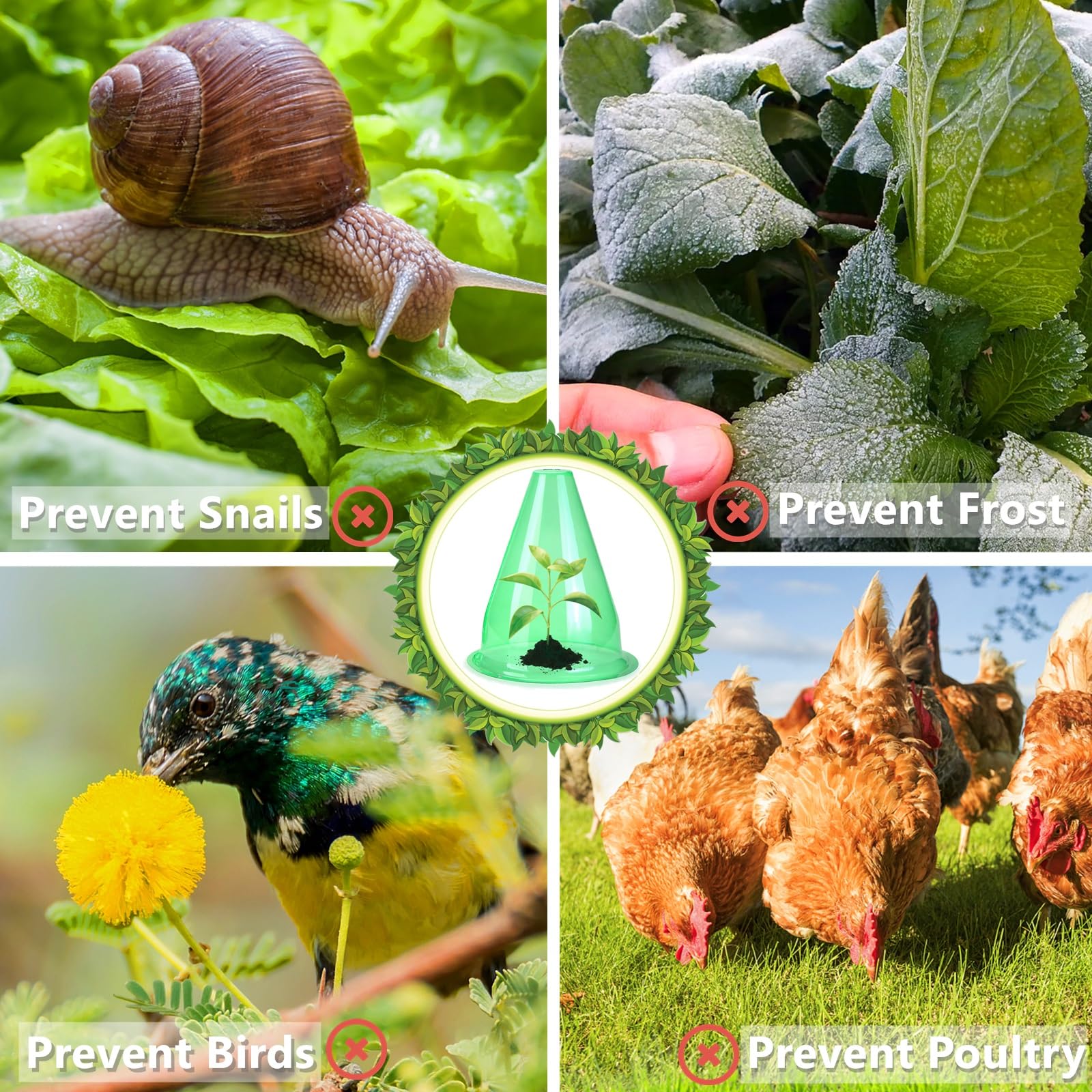 【24 Piezas】 Sombrero para Plantas, Conos para Plantas, Cuello de Caracol, Cubierta para Planta de Ensalada para Proteger Contra Pájaros, Caracoles, Heladas o Climatología, Diámetro de 20cm (24 Piezas)