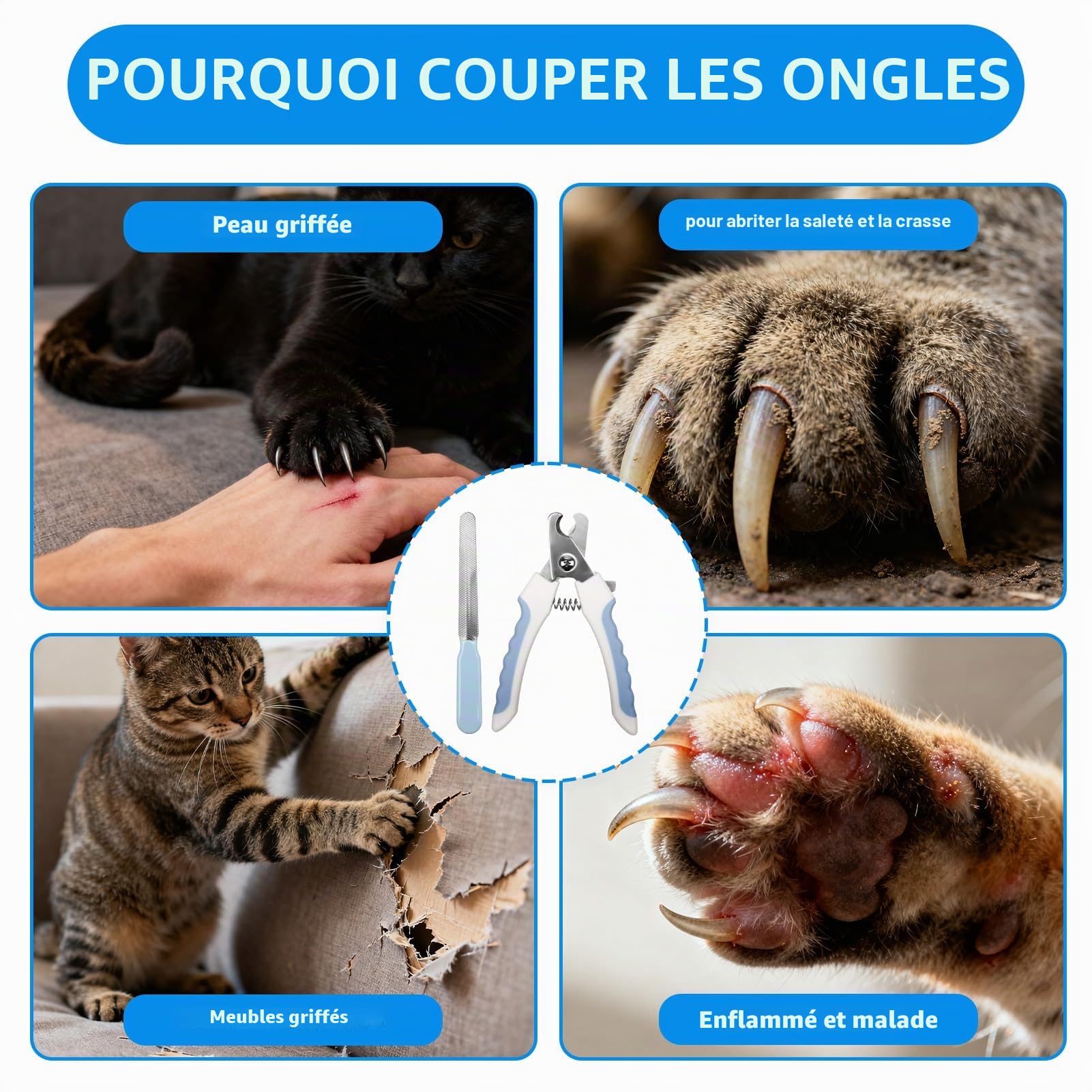 Coupe Ongle Chien et Chat, Coupe Griffes Chien Professionnelle en Acier Inoxydable pour Animaux de Compagnie, Contient Un fichier, Idéal pour Chiens Moyens et Grands, Chats, Lapins et Autres