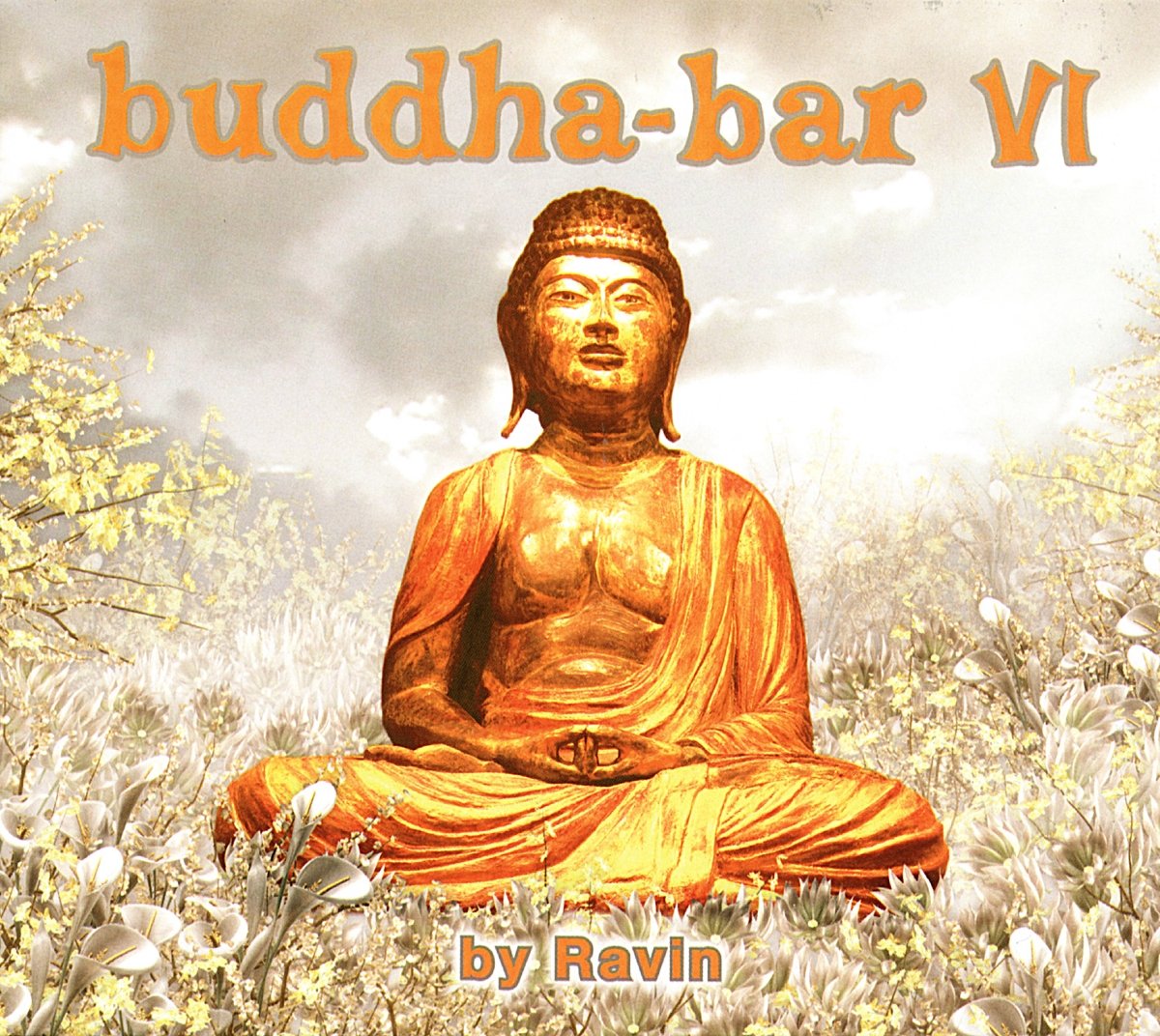 Buddha Bar Vi / Various [Audio CD] Ravin