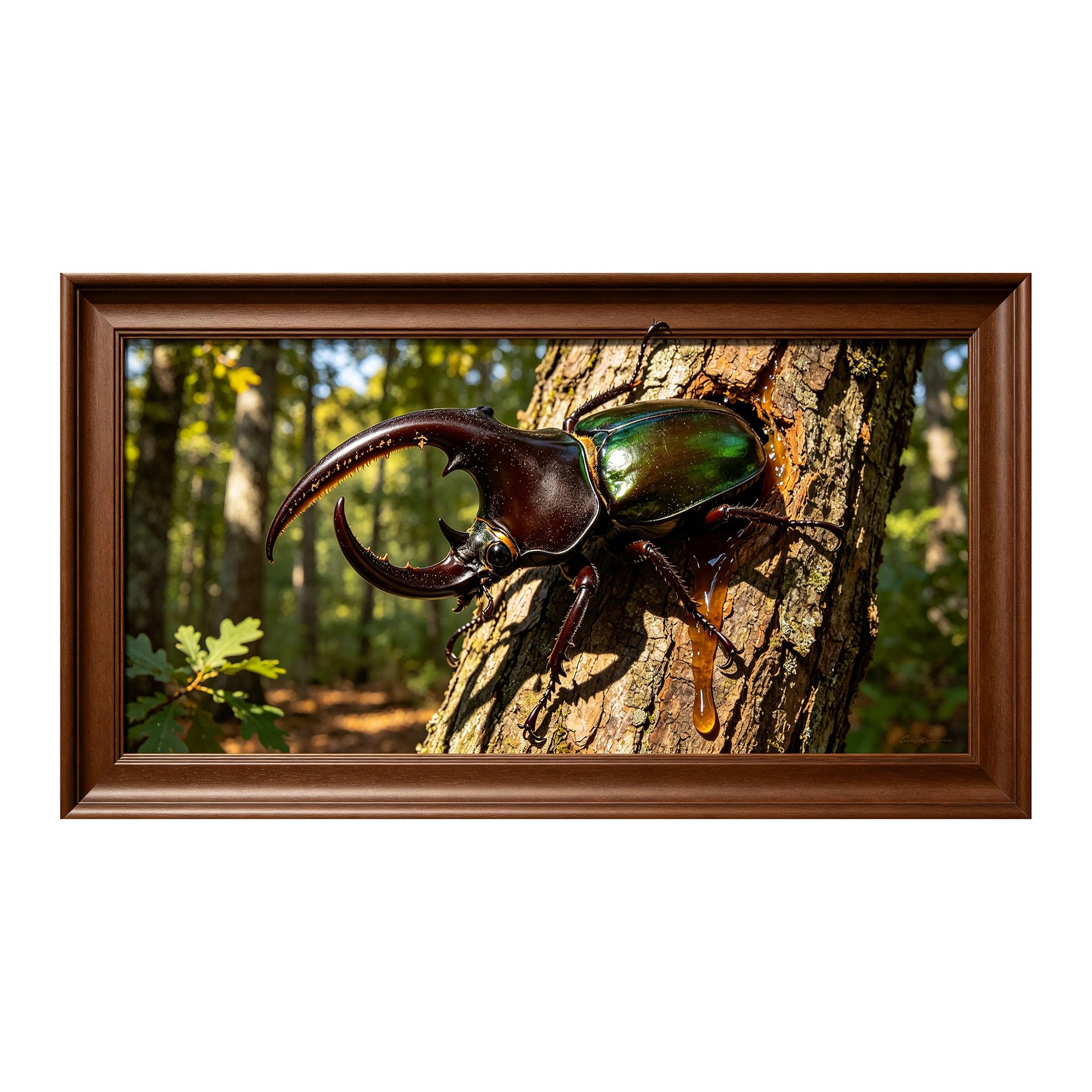 Yzpallescene 3D Framed Wall Art 50cm×100cm Realistic Stag Beetle Jungle Wilderness Large Size SelfAdhesive Removable Wall Decor Prints Artwork for Living Room Bedroom Office