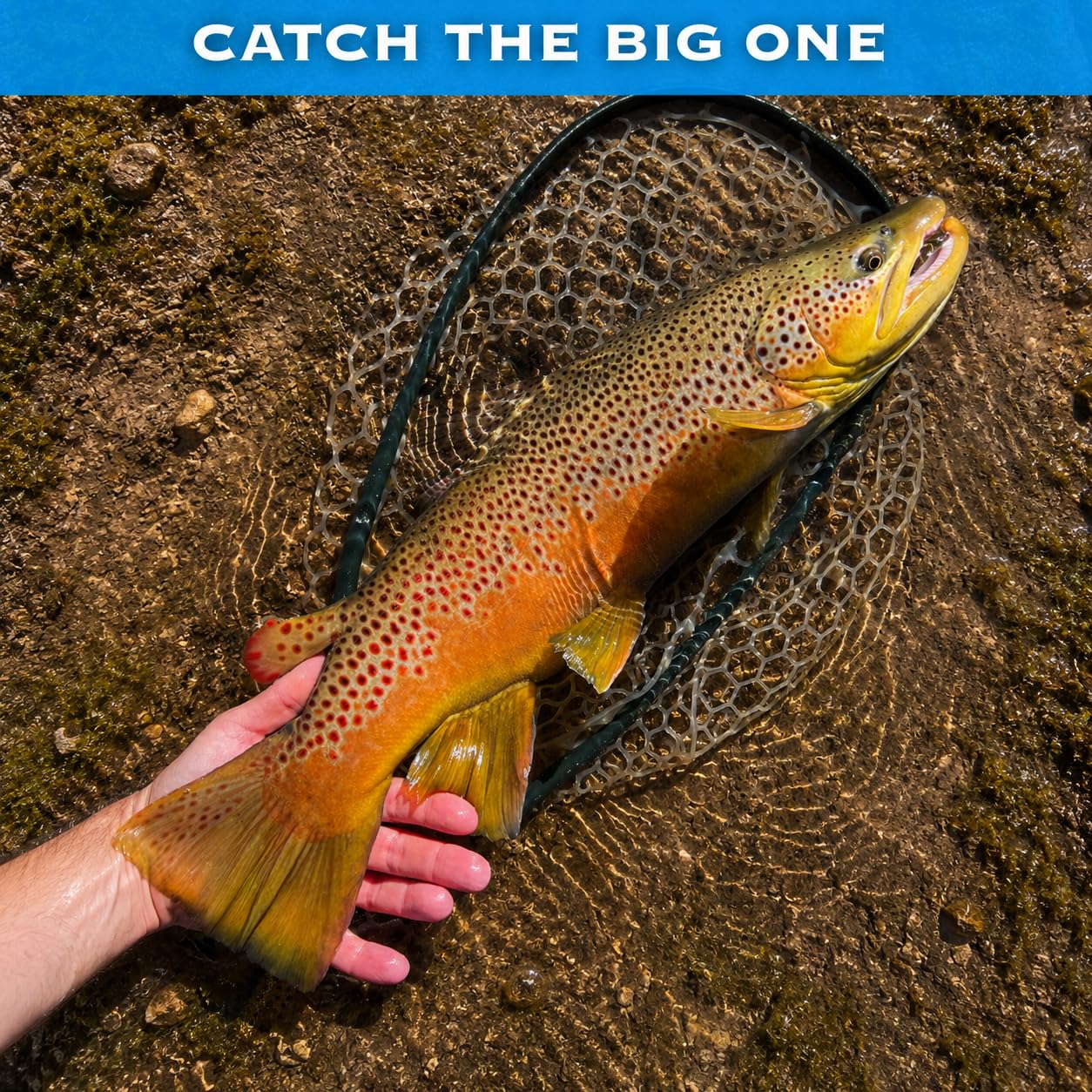 Fliegenfischen mit Tasse, handgeknüpfter Luftschlangen, Nassfliegen, Nymphenköder für Forelle, Barsch, Lachs, Stahlkopf, Panfish, Fluss, See, Bach, Größen 36, 38, 40, 40, 12, 12
