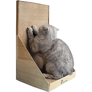 working cattle dog for sale