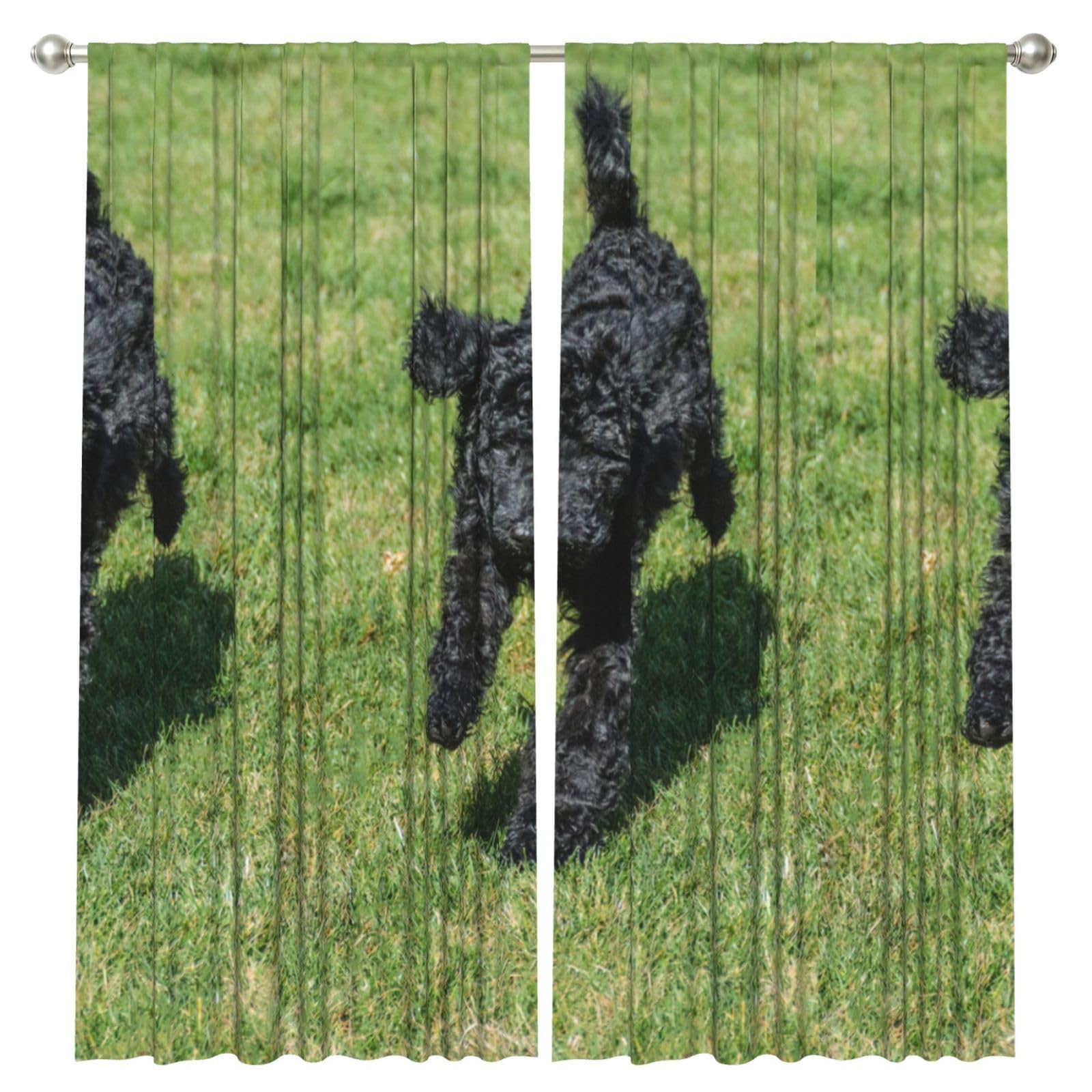 InOmak Black Standard Poodle, 2 Panels Window Curtains 52 x 84 Inch Blackout Curtains for Living Room Bedroom