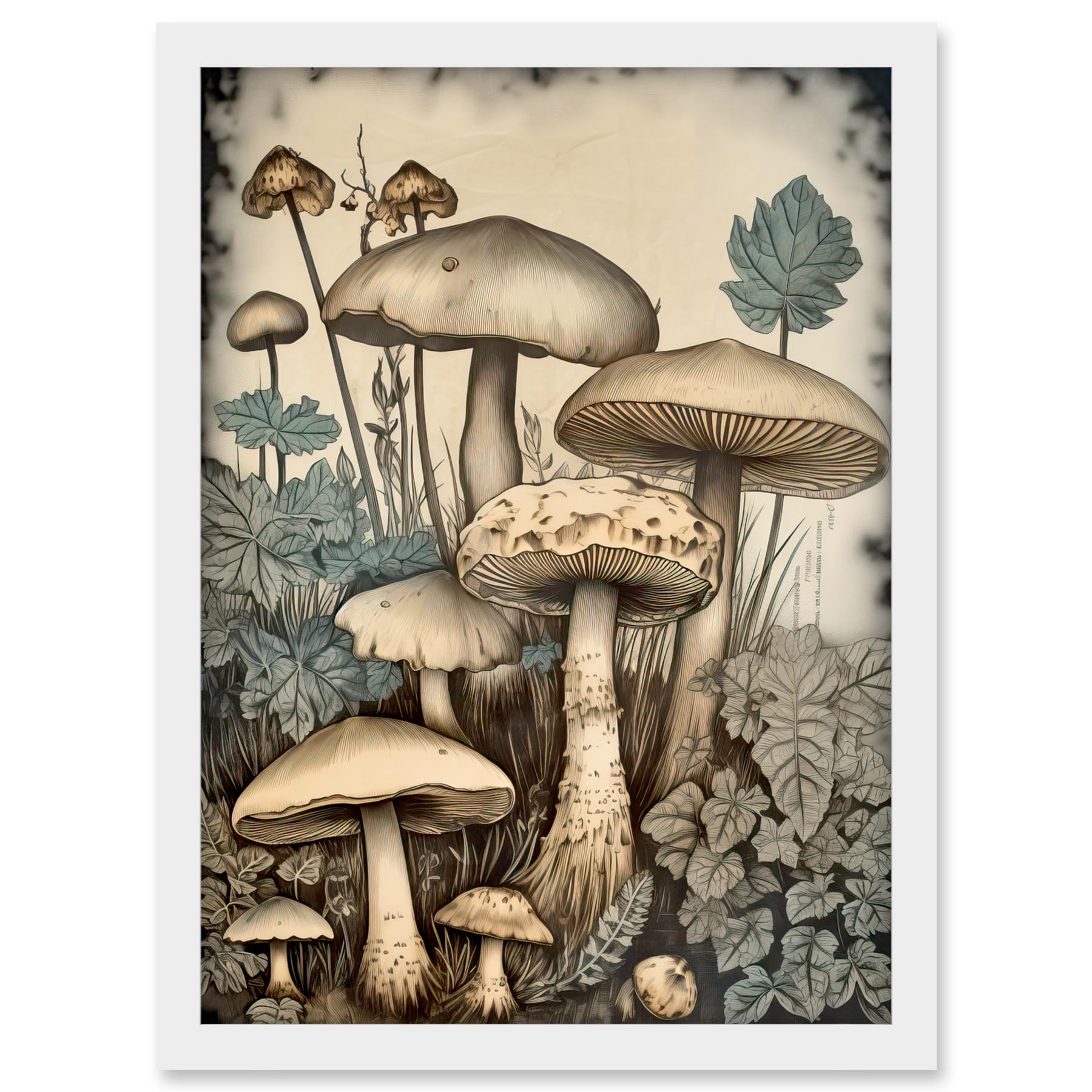 Artery8 Mushroom Fungi Watercolour Vintage Cottagecore Aesthetic Rustic Decor Artwork Framed A3 Wall Art Print