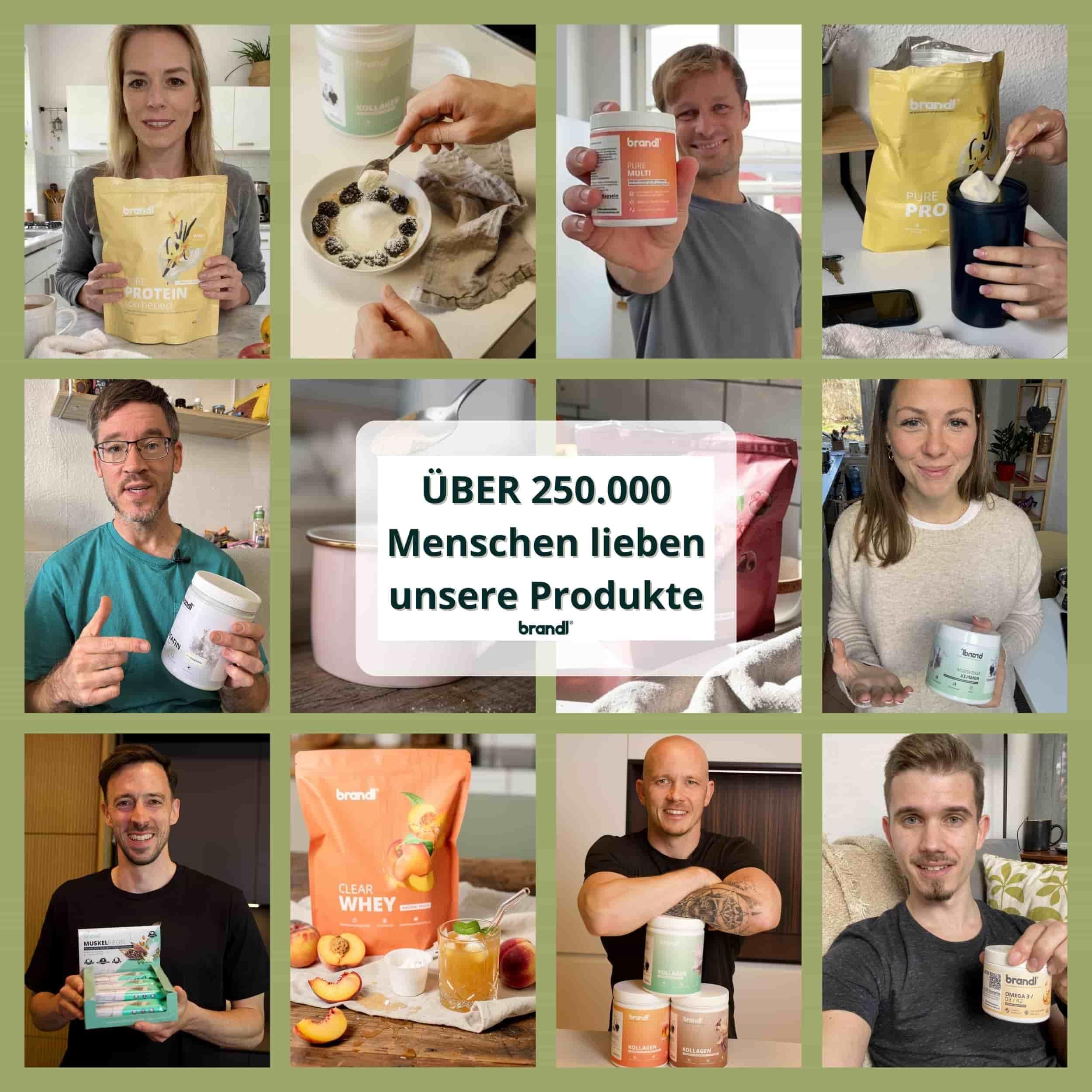Gerstengraspulver BIO - natürliches Gerstengras Premiumqualität - optimal für Sportler, Rohkost-Qualität aus Bayern und abgefüllt in Deutschland, laborgeprüft - 500g Bio Gerstengras Pulver by brandl®