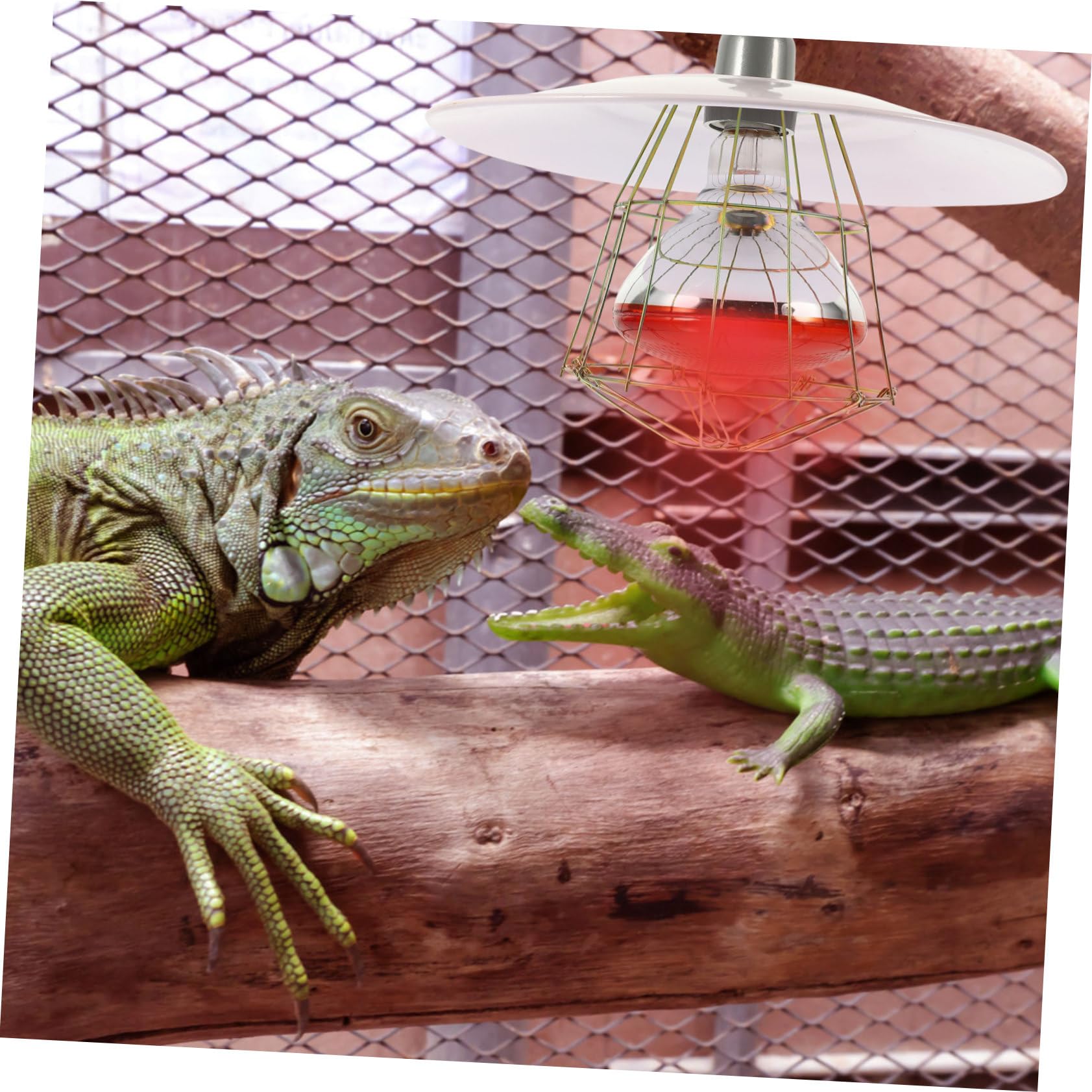 DOITOOL Reptilien Wärmelampe mit Gutem Heizeffekt, Weiß, Metall