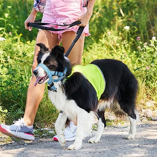 Miniatura 35 de Weesiber Collar suave para cabeza de perro, arnés ajustable para cabeza de perro, acolchado sin tirones, cuello halter con tira de seguridad Negro