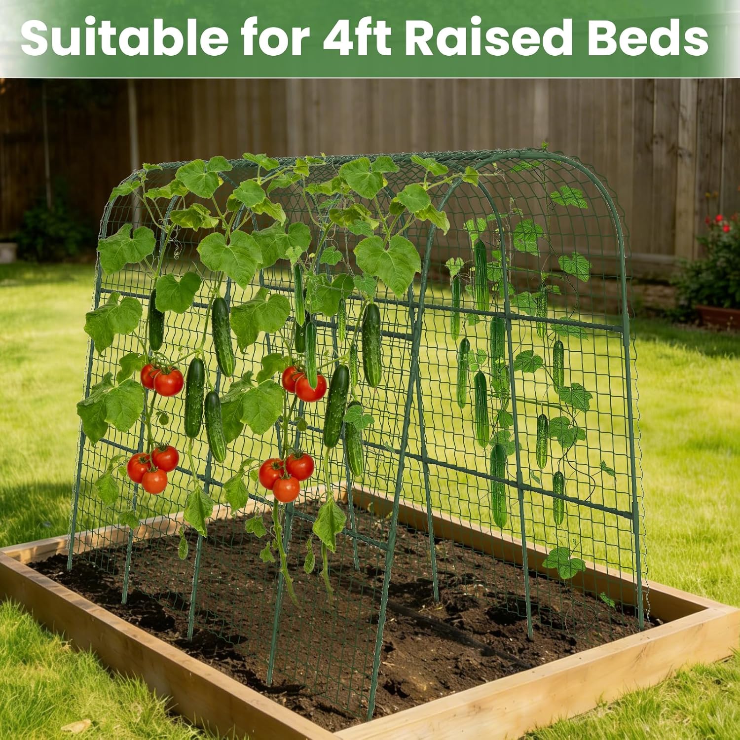 Cucumber Trellis, Metal Garden Arch Trellis for Raised Bed, 63 x 48inch U-Shape Garden Trellis for Climbing Plants Outdoor, Vegetables Fruit Plant Support with Netting, Gardening Supplies (Green)