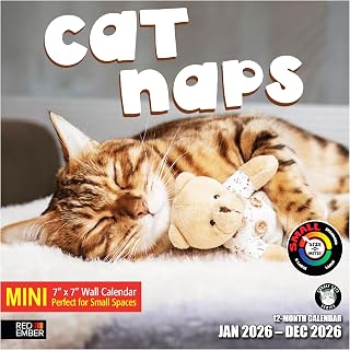 RED EMBER Cat Naps 2026 Mini Wall Calendar 12 Month | 7" x 14" Open | Thick & Sturdy Paper | Holiday Gift | Cute Funny Kitten Cat Calendar 2026