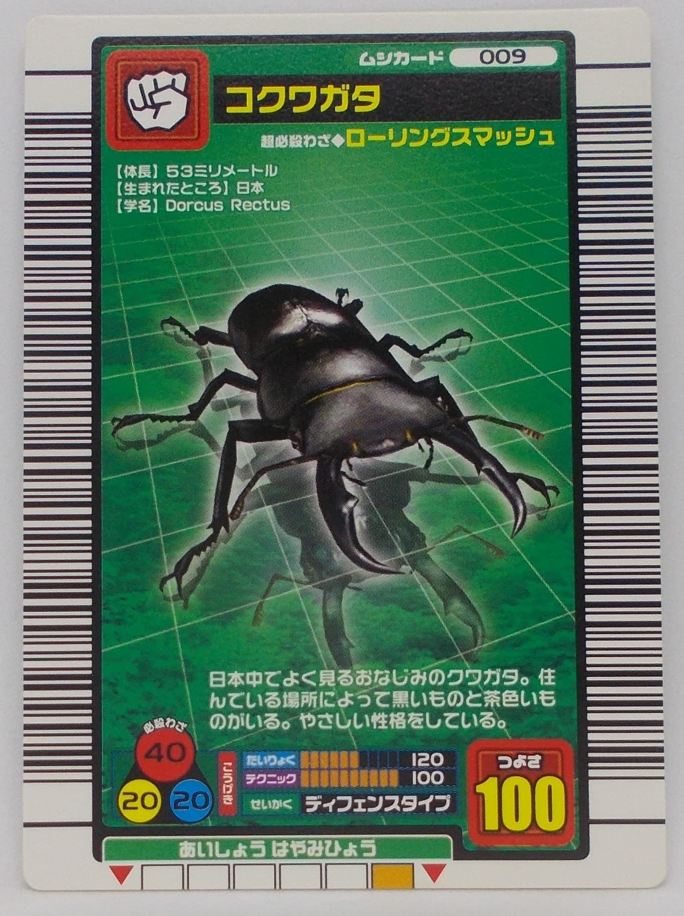 Amazon.co.jp: 【009-2004 ファースト拡張】コクワガタ/甲虫王者 Amazon.co.jp: 【009-2004 ファースト拡張】コクワガタ/甲虫王者