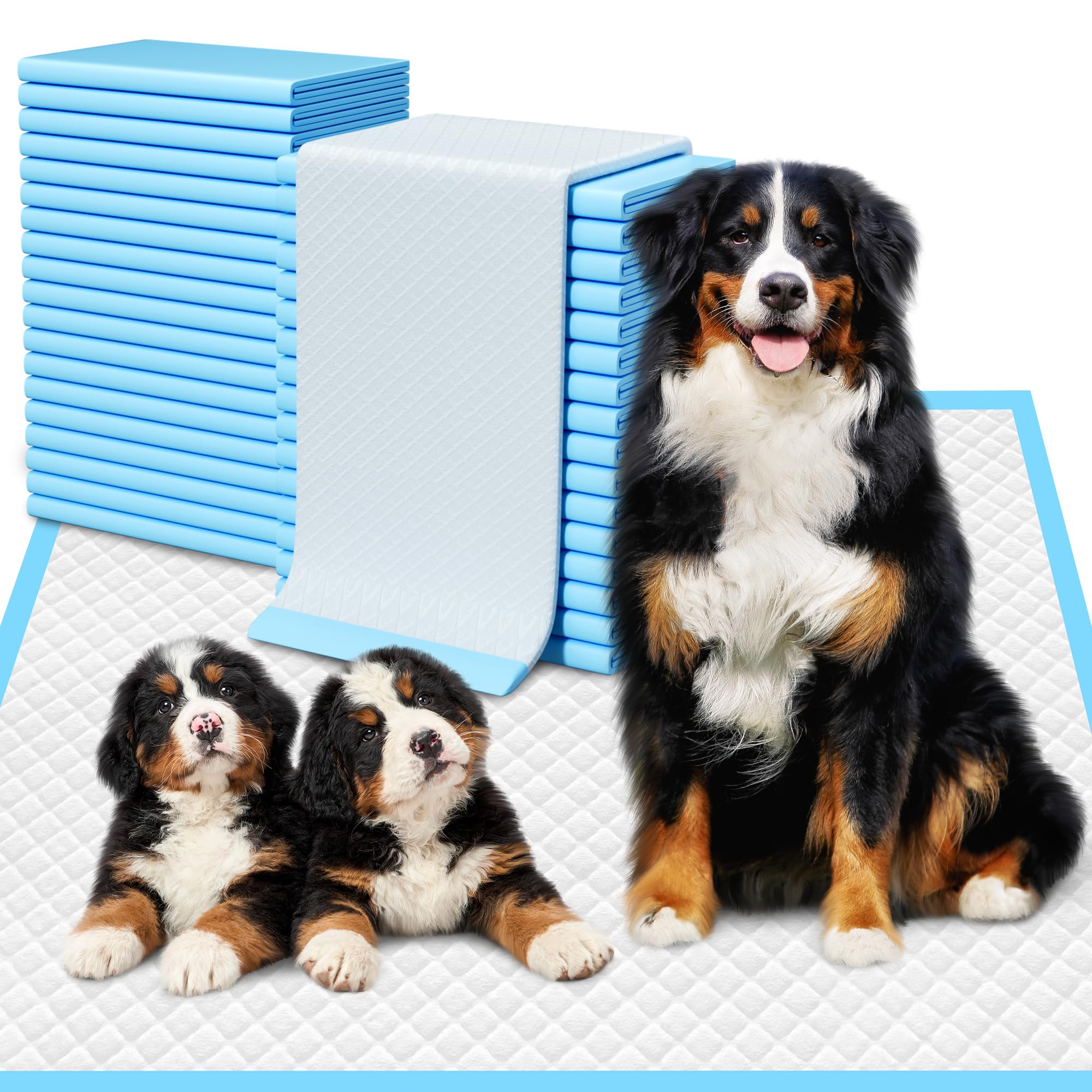 Extra Large Puppy Pads 28" x 34"-30 Count, Super Absorbent Dog Pee Pads Quick Drying Leak-Proof X-Large Dog Training Pads Disposable Training Pads for