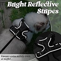 Vista 32 de rabbitgoo Arnés y correa para caminar, a prueba de escapes, chaleco suave y ajustable para gatos, fácil de controlar, transpirable, tiras