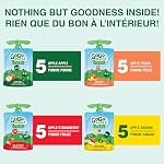 GoGo squeeZ Fruit Sauce Paquet de variétés, pomme, fraise, pêche, banane, pas de sucre ajouté. 90g par poche, boîte de 20