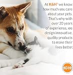 K&H Pet Products Outdoor Elevated Dog Cot, Refroidissement Respirant Lit d'animaux pour grands chiens, Couverture en maille lavable, Cadre en métal relevé, Collapsible, Portable - grand 42 X 30in gris