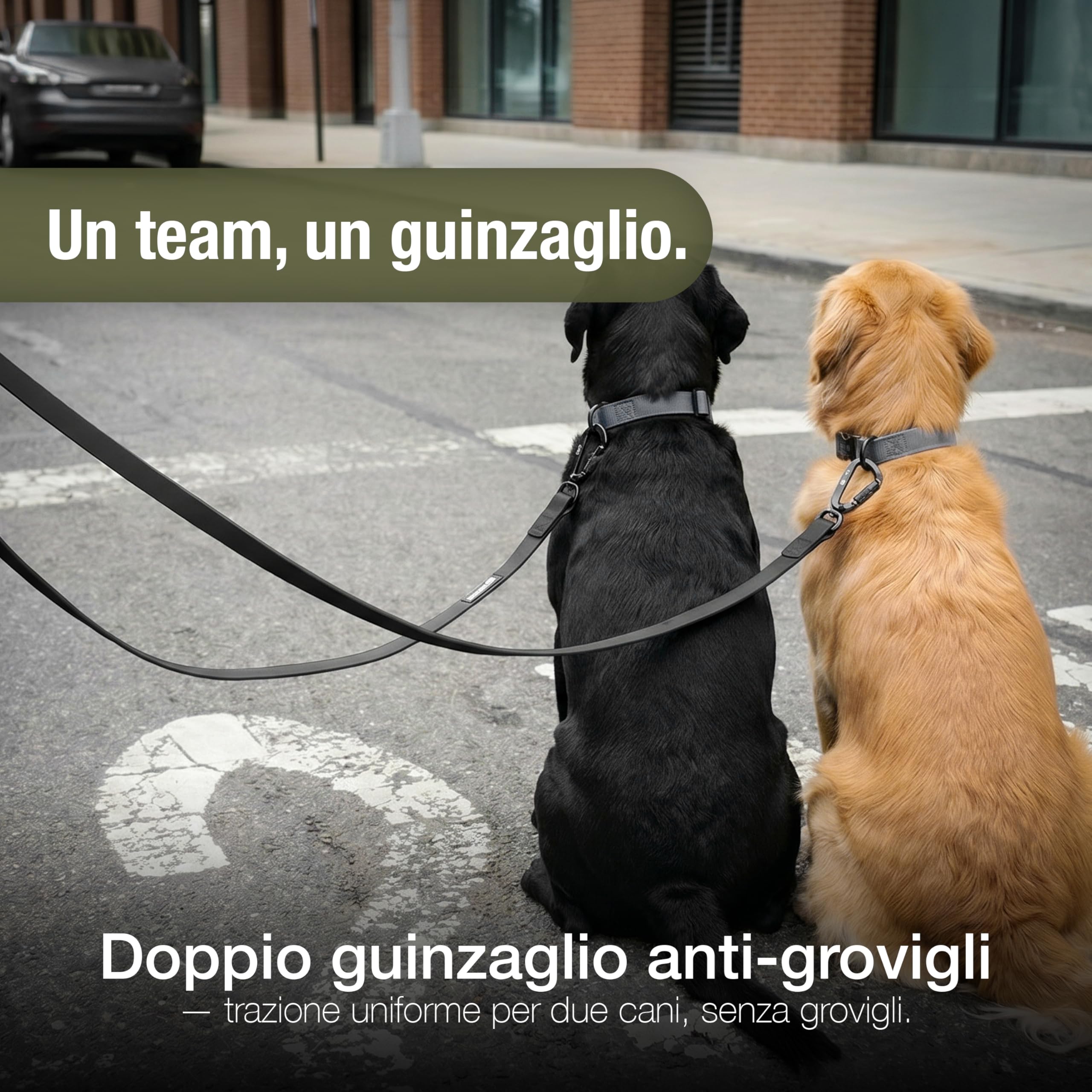 Guinzaglio Cane Impermeabile Forte 3m per Cani Piccoli e Grandi (10-100kg) – Tracolla Regolabile – WEATHERGUARD – 2x Moschettoni di Sicurezza – Marchio Tedesco, Colore:Nero