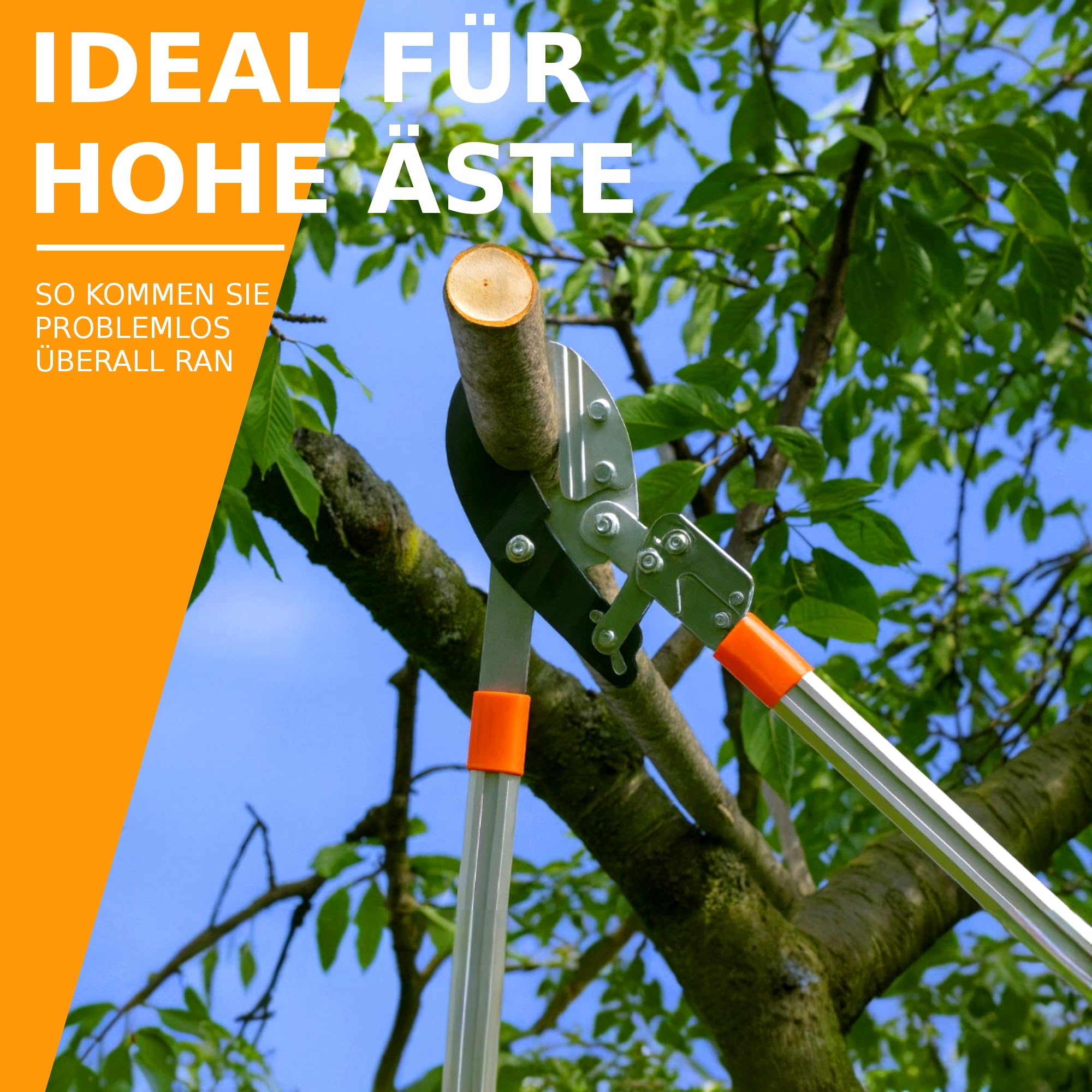 Teleskop Amboss Baumschere Astschere mit 6x Verstellung, mit Ratsche & Übersetzung für dicke Äste, Amboss Heckenschere Gartenschere Lang, Ast Baum Garten Schere, Profi-Gartenwerkzeug