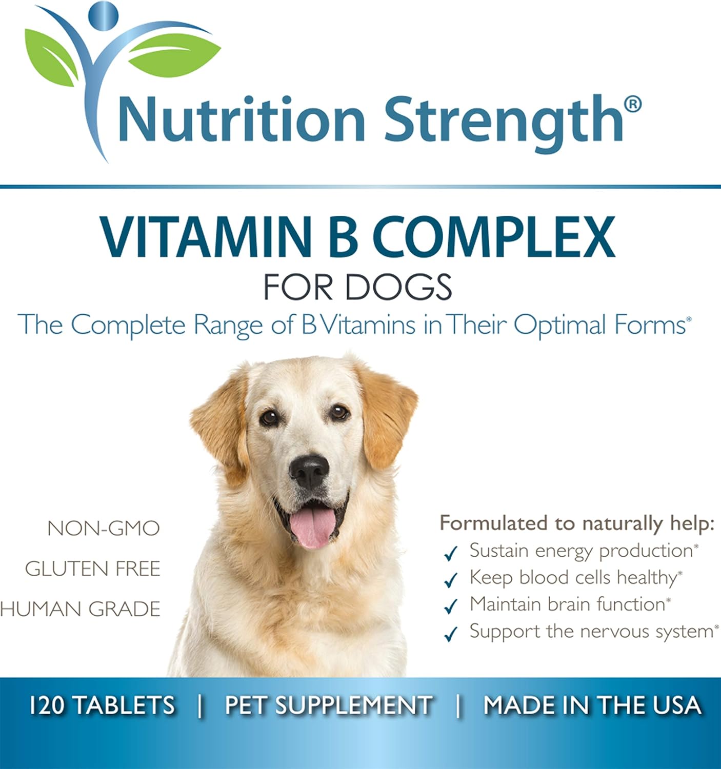 Why Do Dogs Need Vitamin B