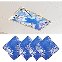 4 Pcs Fluorescent Light Covers - Light Covers for Ceiling Lights Classroom, Magnetic Light Filters for Office, Hospitals, Home 4 x 2 Feet (winter)